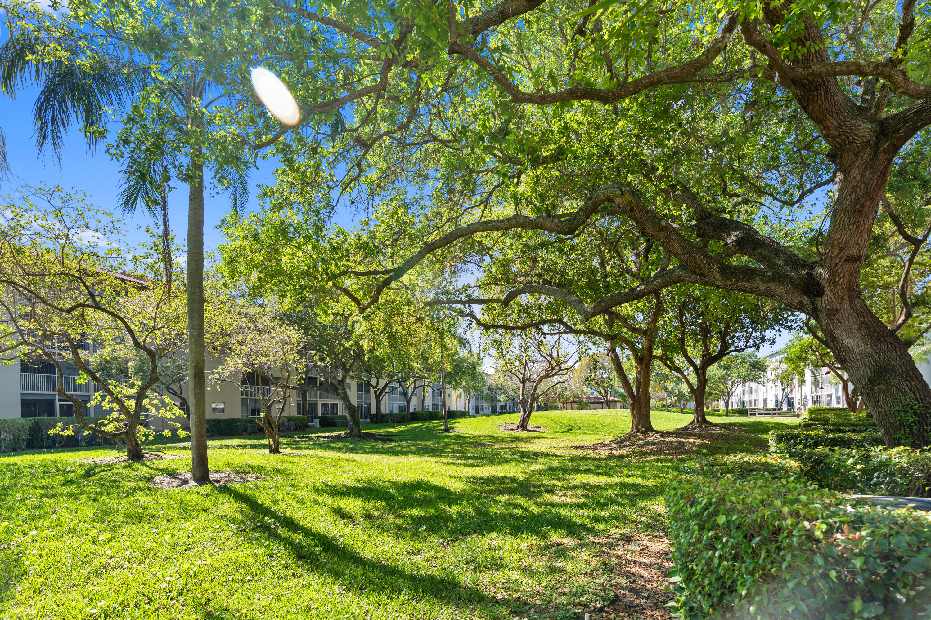 CAMBRIDGE AT CENTURY VILLAGE - Residential