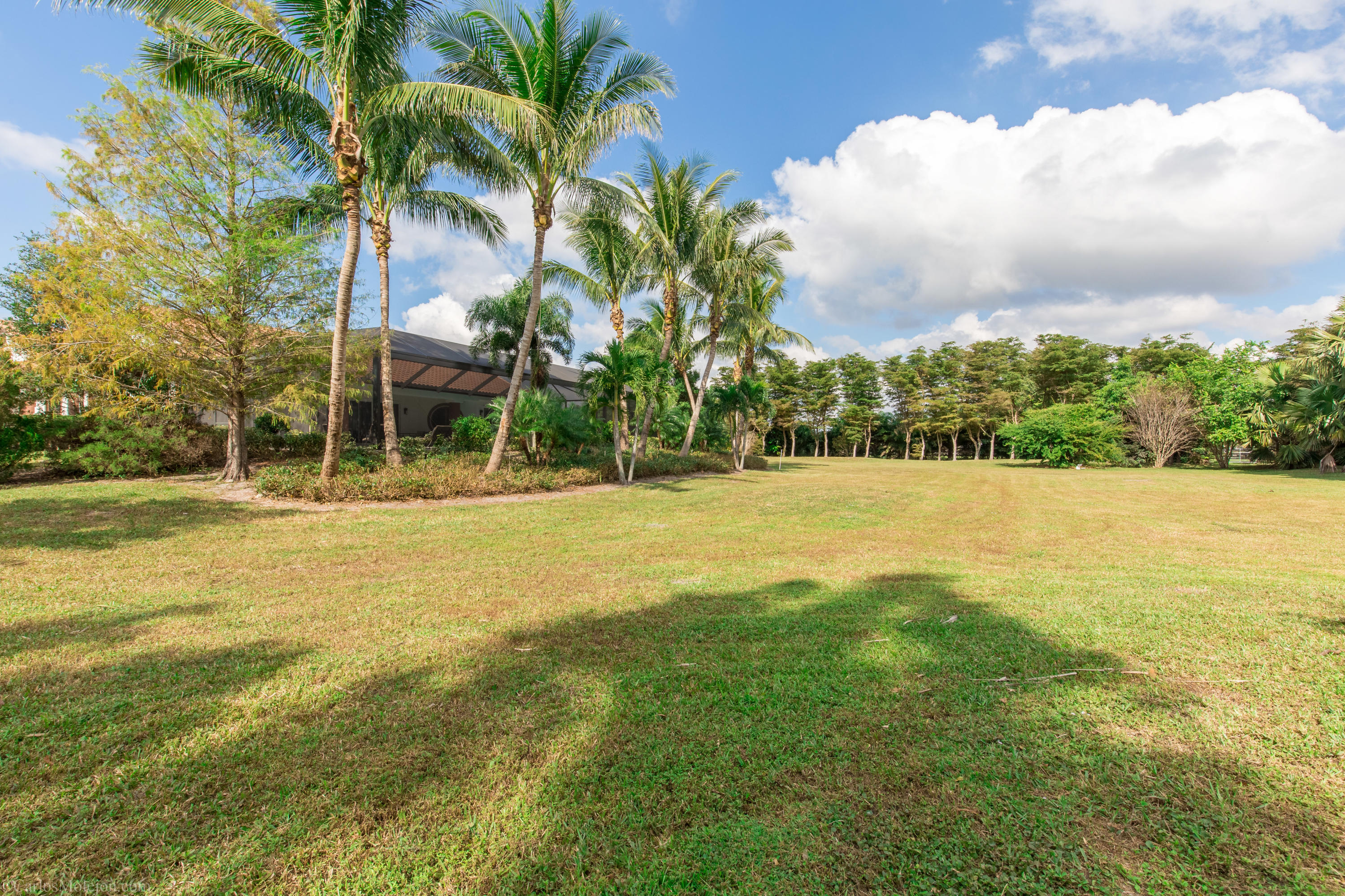 PALM BEACH POINT - Residential