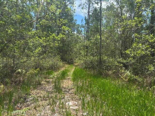 Over 10 acres in the Green Swamp with owner financing available. Call this pristine piece of Florida Wilderness your own. Great Hunting/Camping/Recreational property with legal access. NOT BUILDABLE