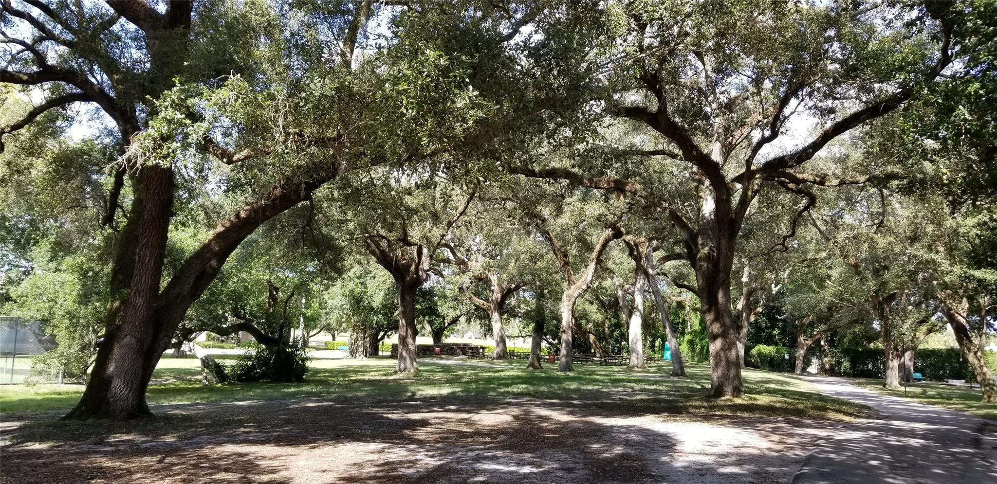 Sabal Palm - Residential