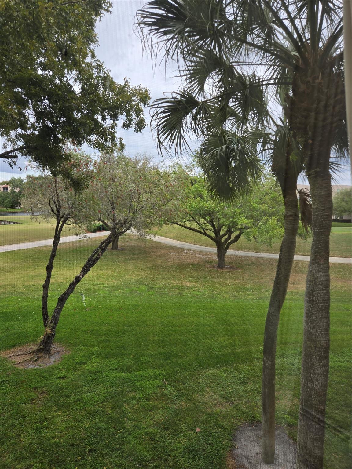 Sabal Palm - Residential