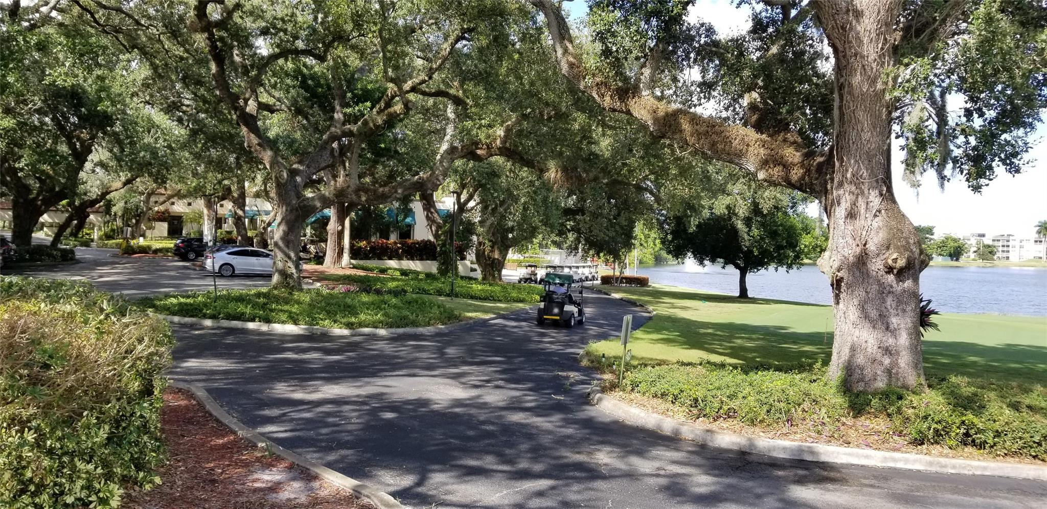 Sabal Palm - Residential
