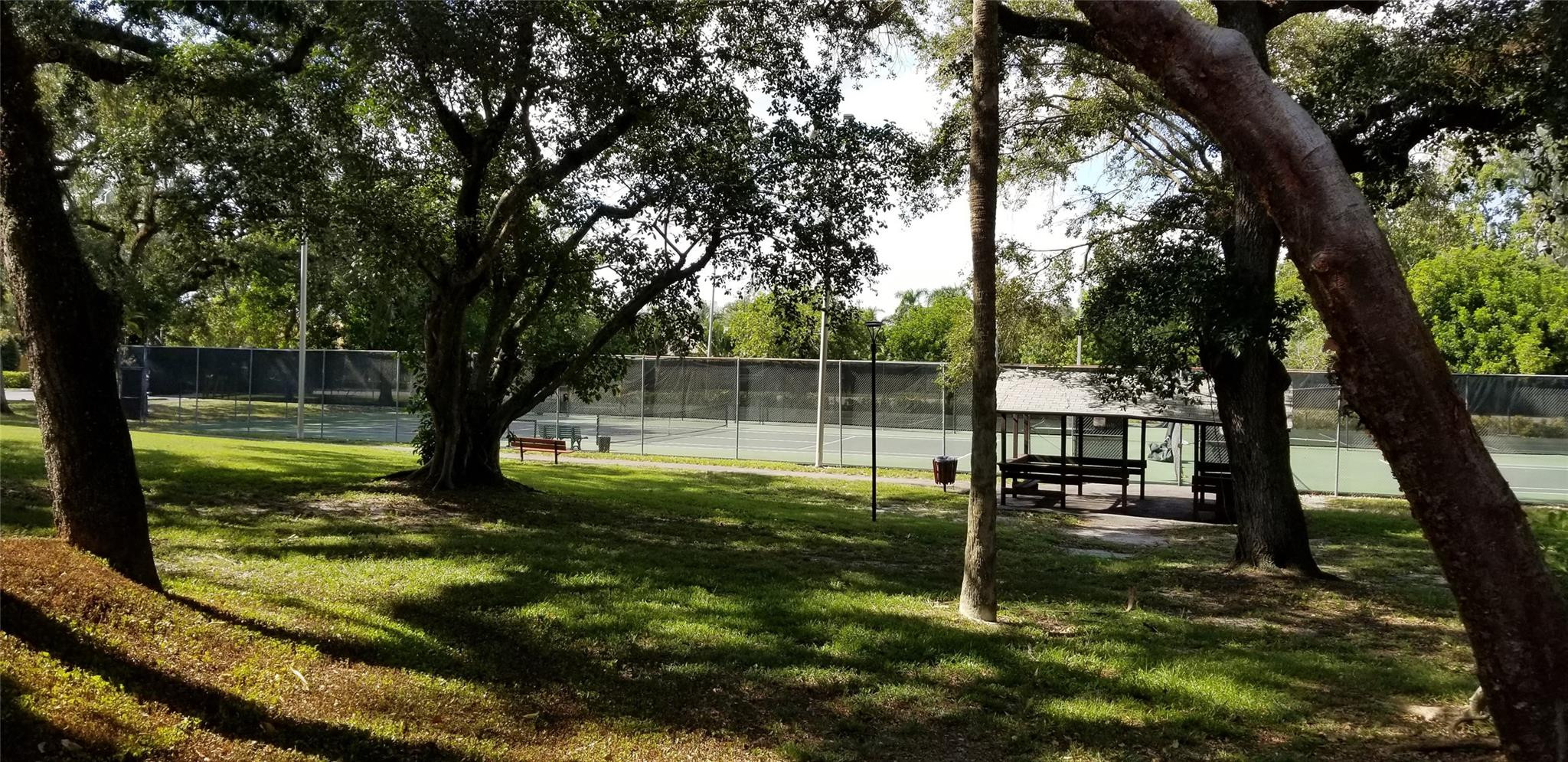Sabal Palm - Residential