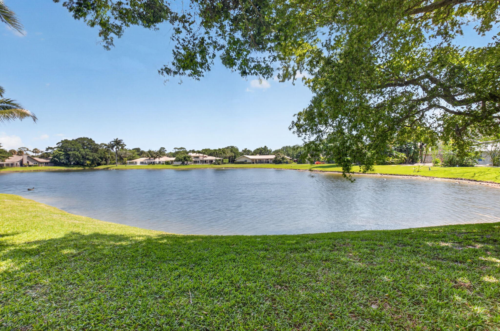 ESTANCIA II OF VIA VERDE - Residential