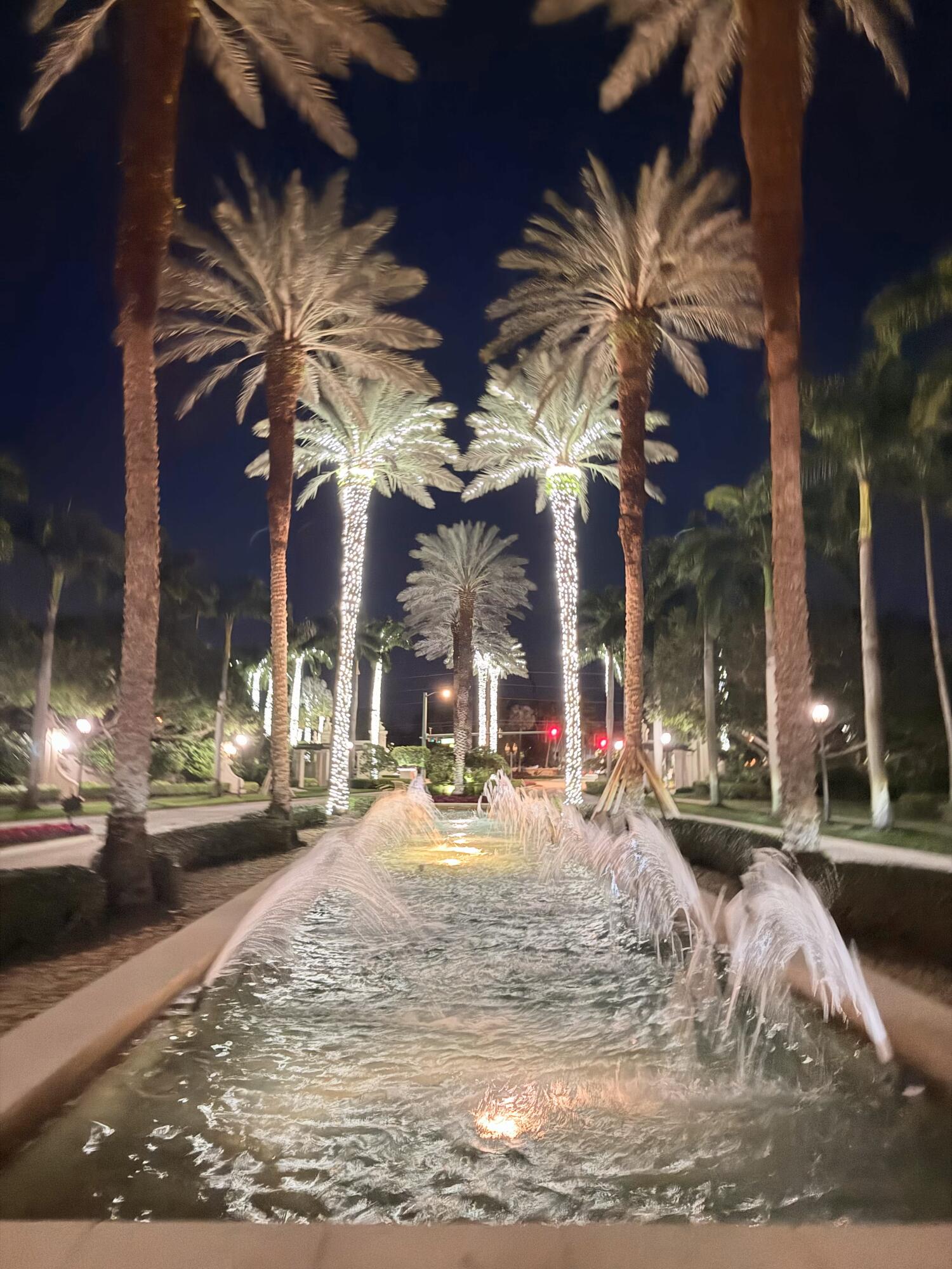 VALENCIA PALMS 2 - Residential