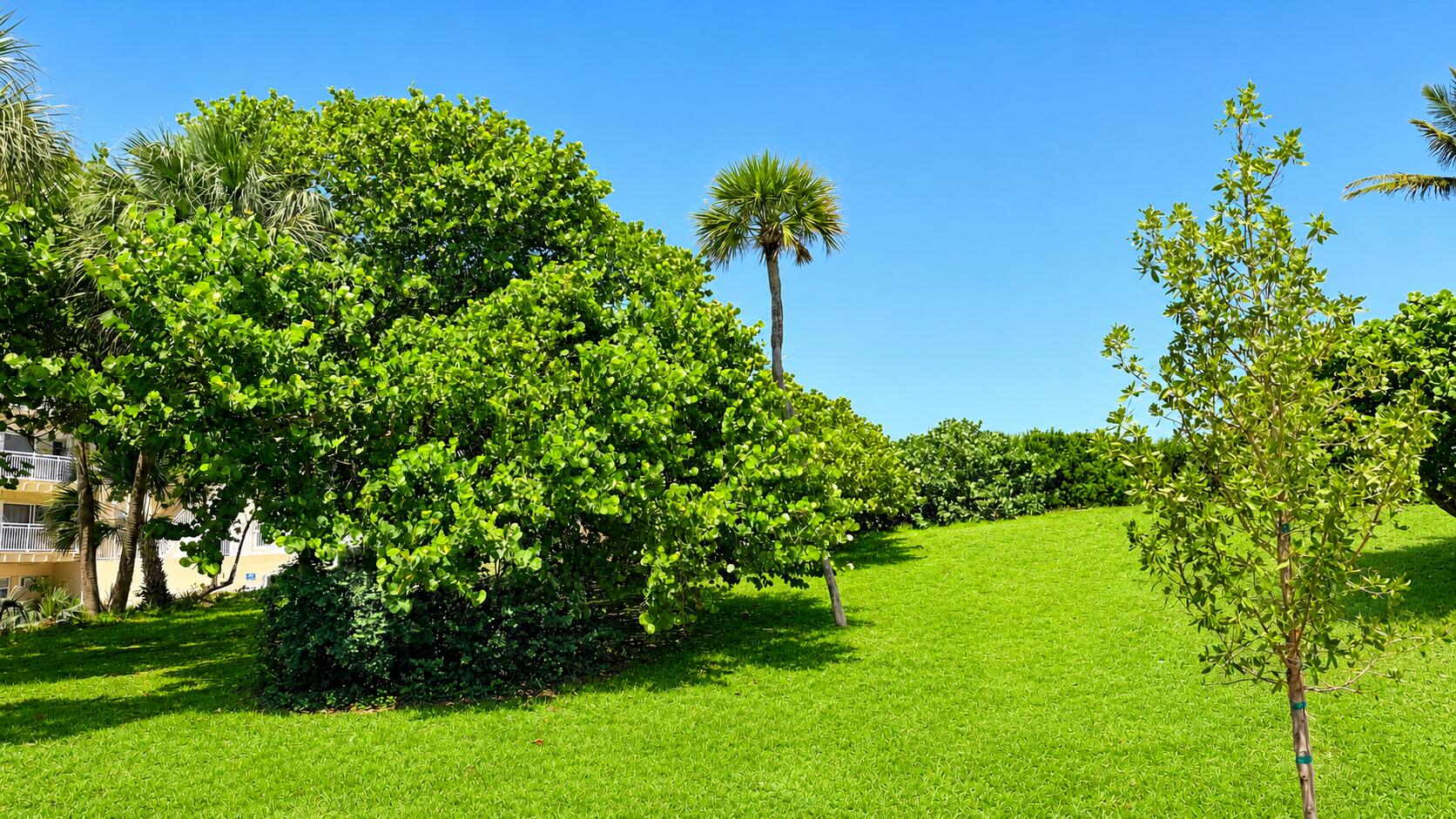 SOUTH PALM BEACH VILLAS CONDO - Residential