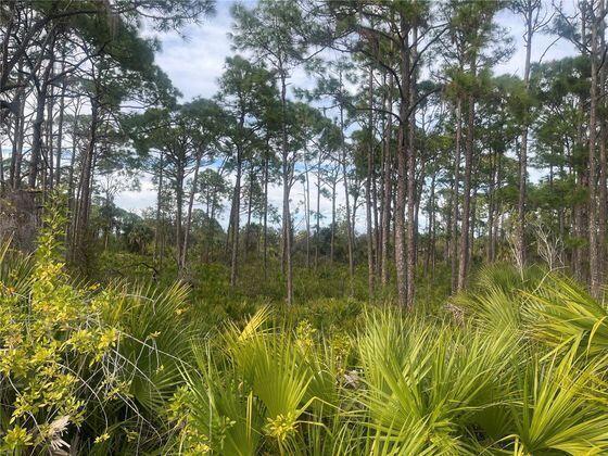 Build your Florida dream home on this residential lot located in the growing community of Port Charlotte. This property offers convenient access to shopping, dining, schools, parks, golf courses, and local amenities. Situated in an area of ongoing development with new construction nearby, this lot provides great potential for future value. No HOA or deed restrictions. Easy access to US-41 and I-75 makes commuting to Sarasota, Fort Myers, and surrounding areas a breeze. Enjoy nearby waterways, boating, fishing, and Gulf Coast beaches just a short drive away. A great opportunity for builders or buyers looking to secure land in a desirable Southwest Florida location.
