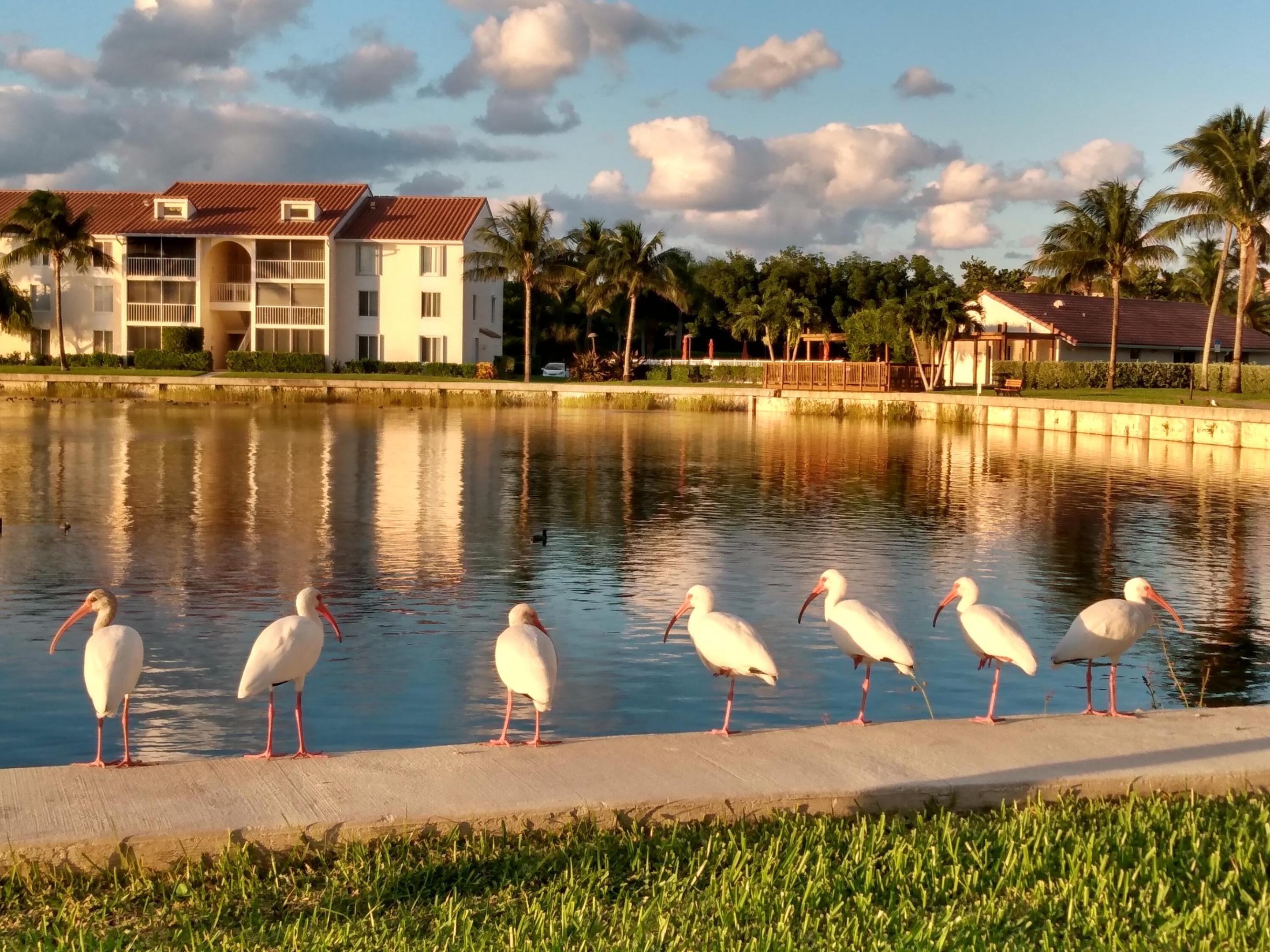 JENSEN BEACH CLUB CONDO - Residential Lease