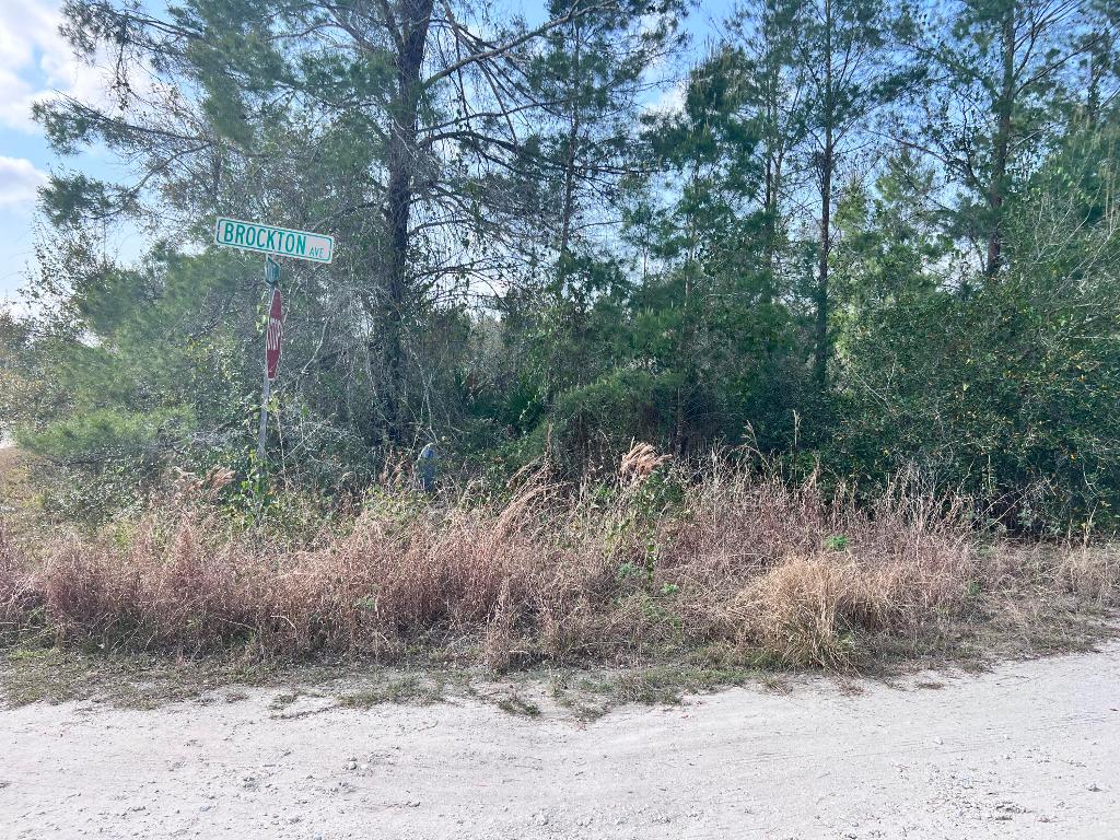 SEBRING LAKES UNIT 2 C - Land