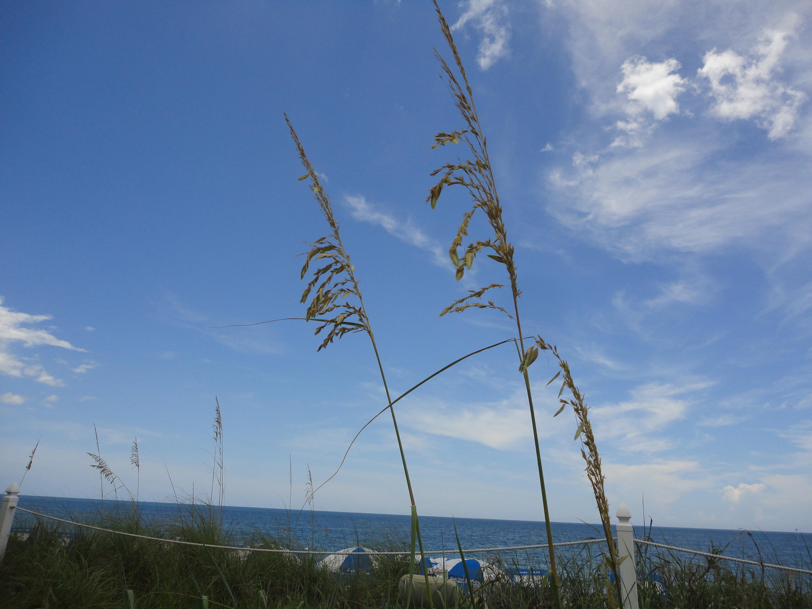 FISHERMANS VILLAGE - Residential Lease