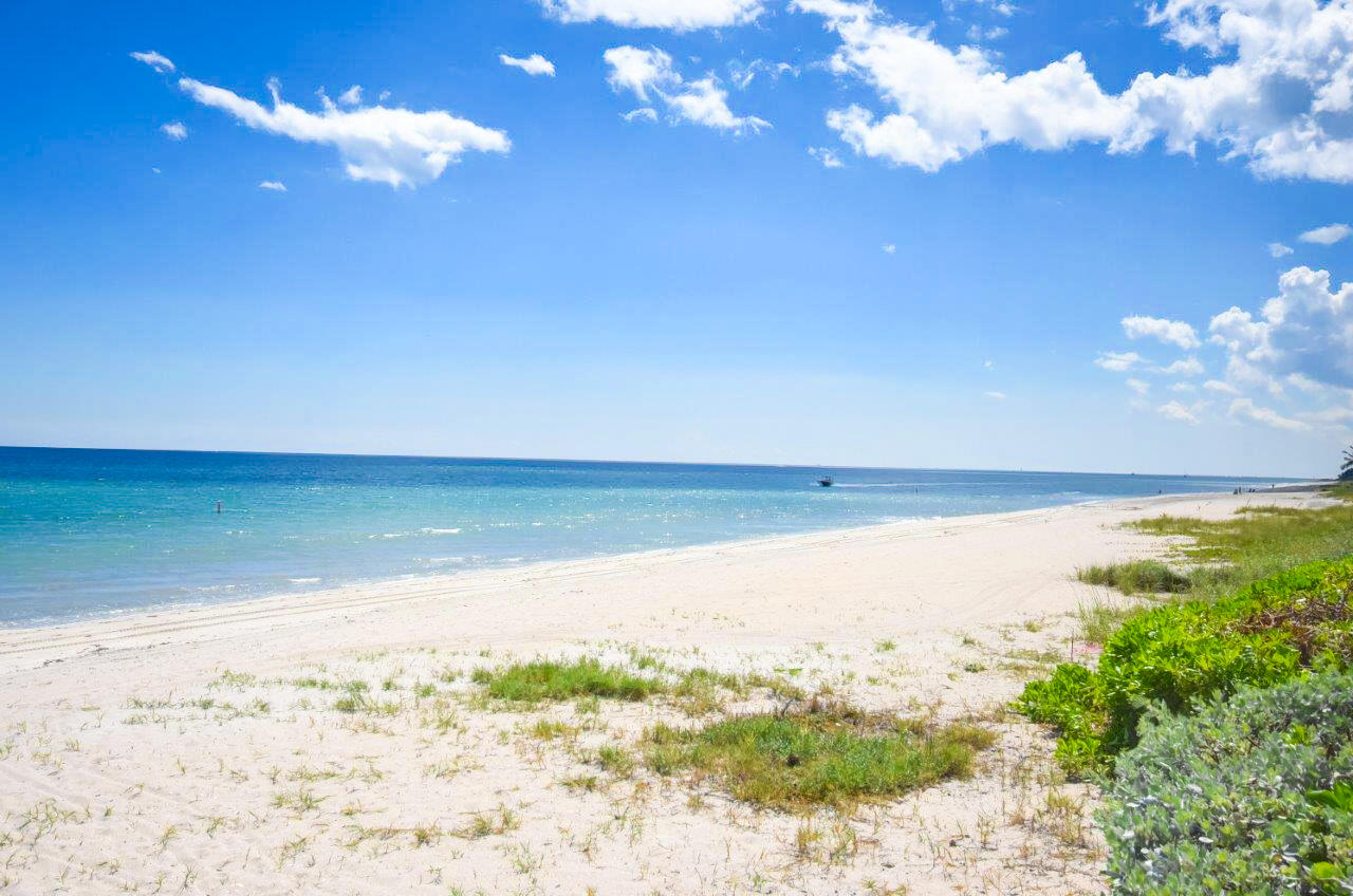 JUPITER OCEAN GRANDE 1 CONDO - Residential