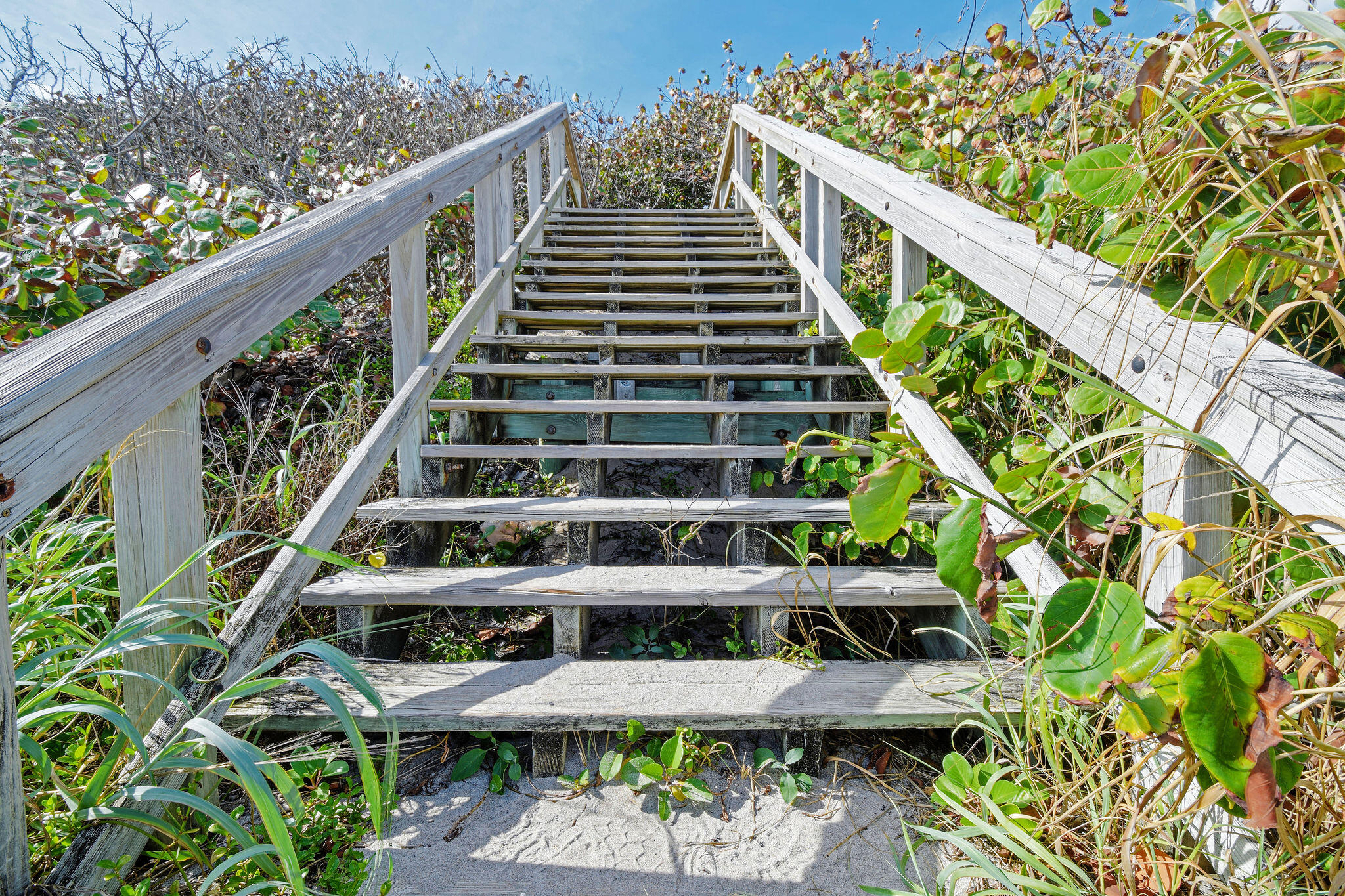 JUNO OCEAN WALK - Residential