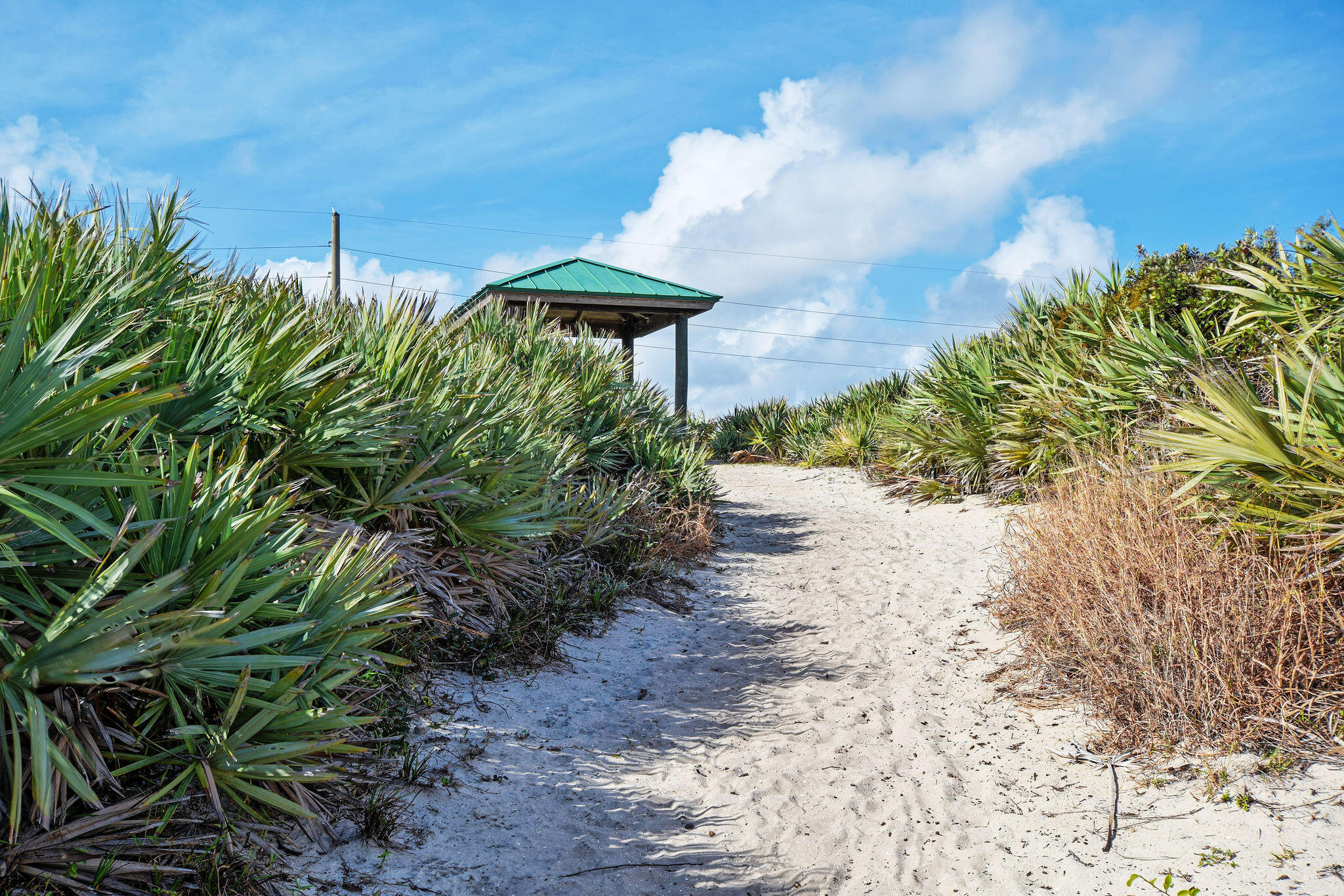 JUNO OCEAN WALK - Residential
