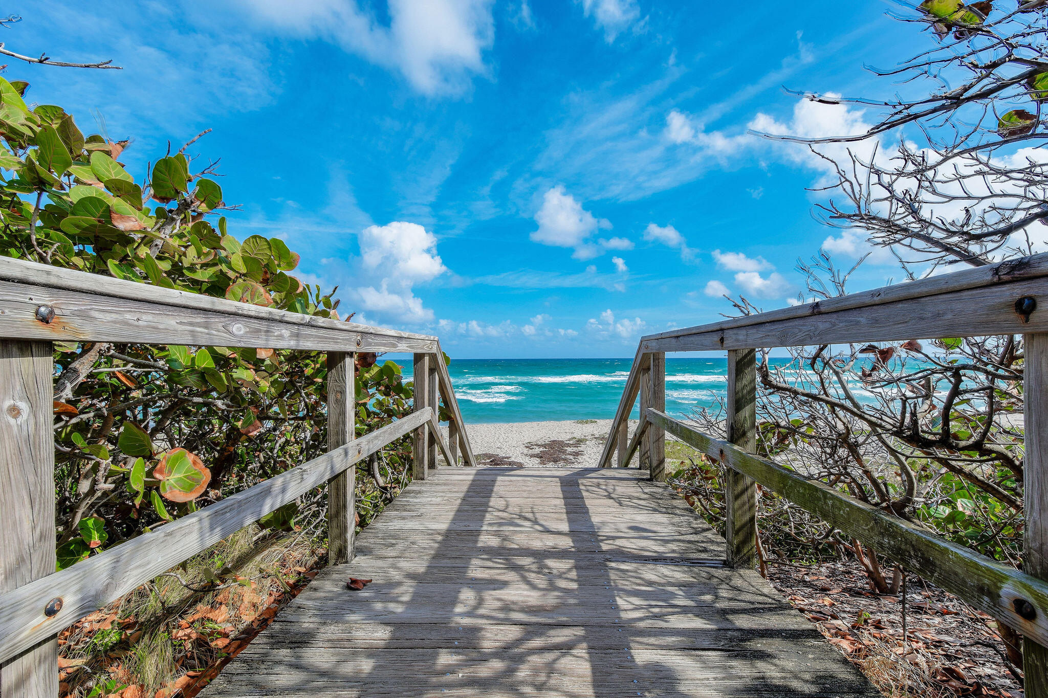 JUNO OCEAN WALK - Residential