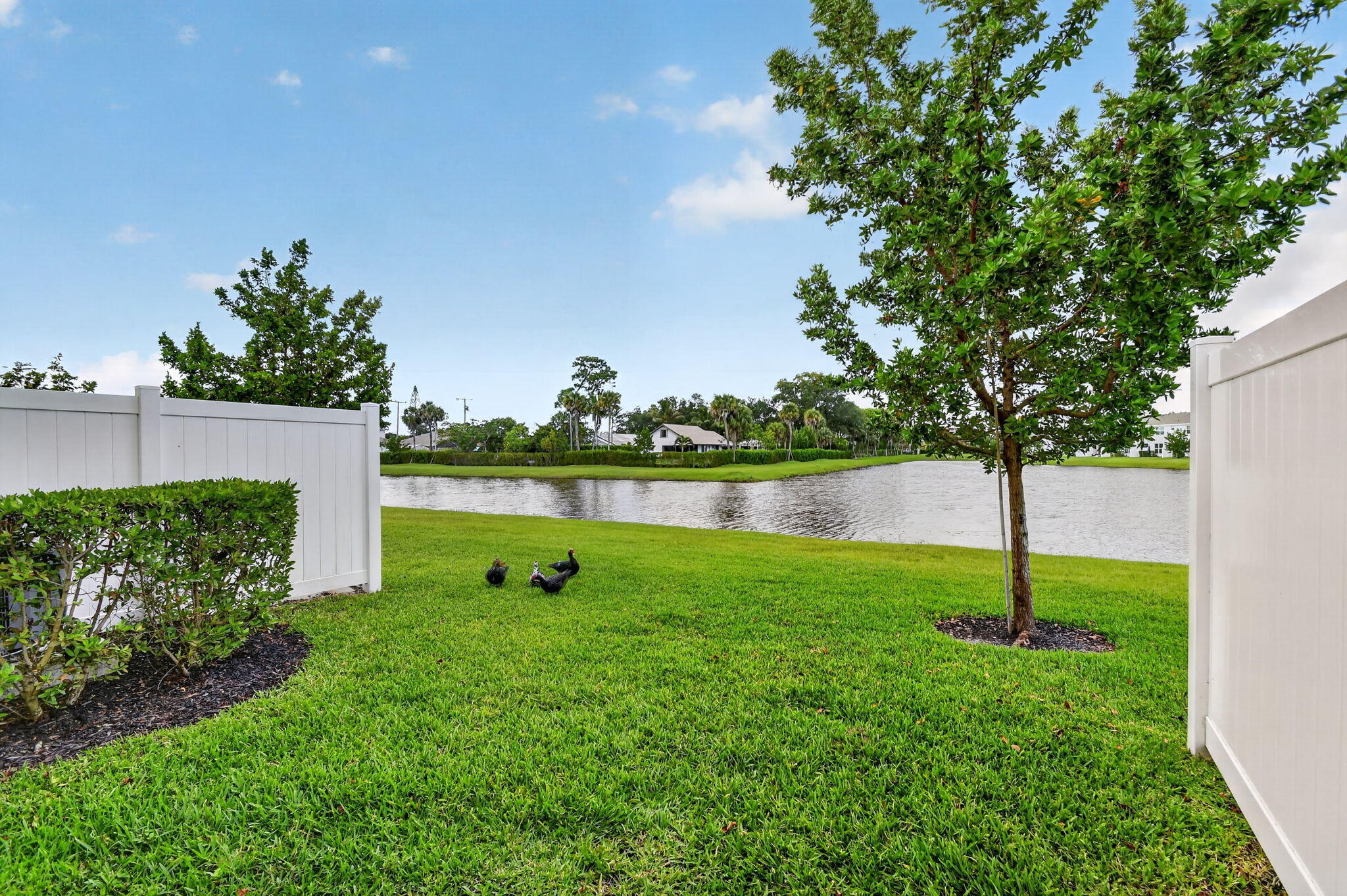 LAKESHORE AT THE FOUNTAINS - Residential Lease