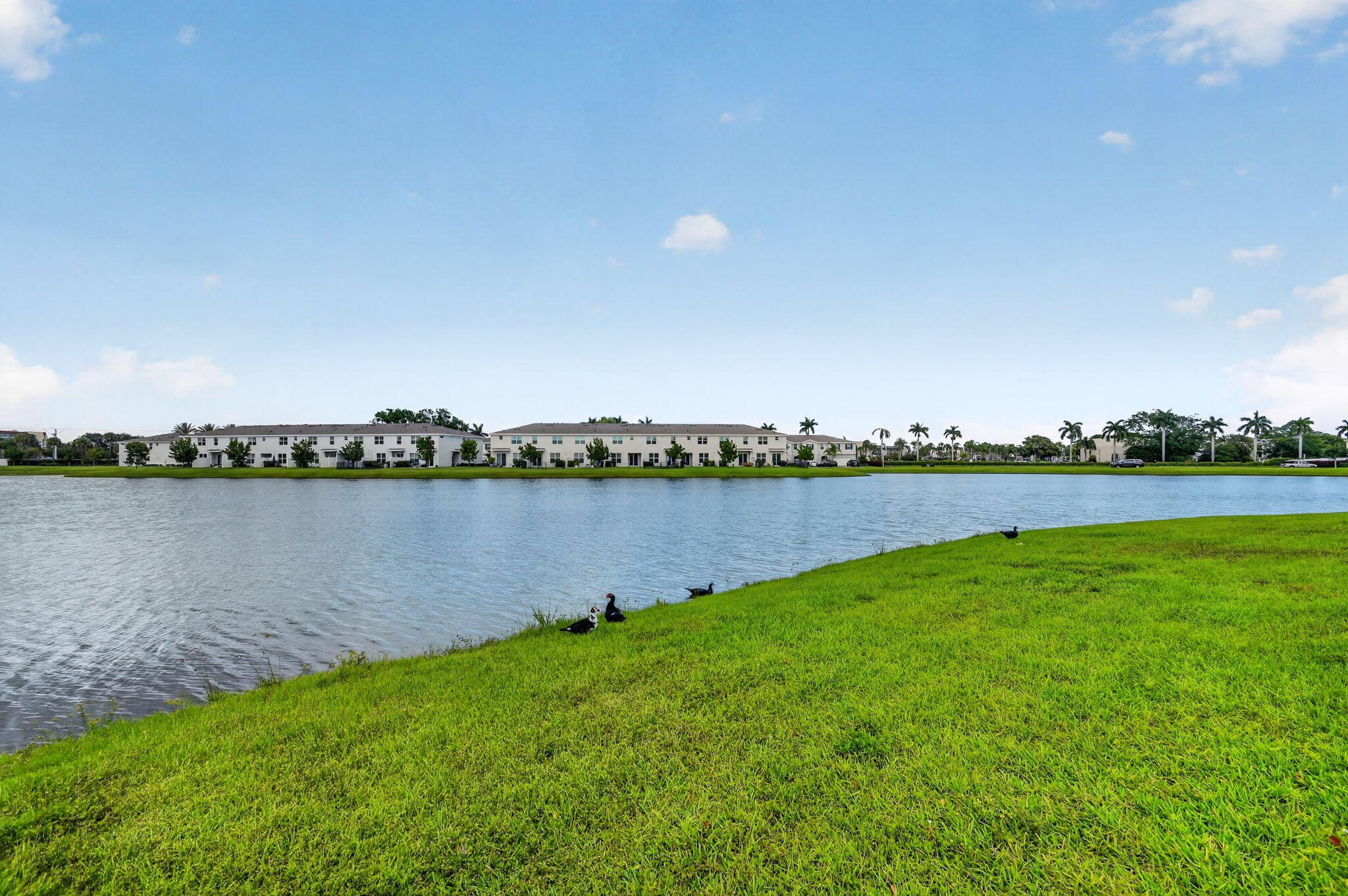 LAKESHORE AT THE FOUNTAINS - Residential Lease
