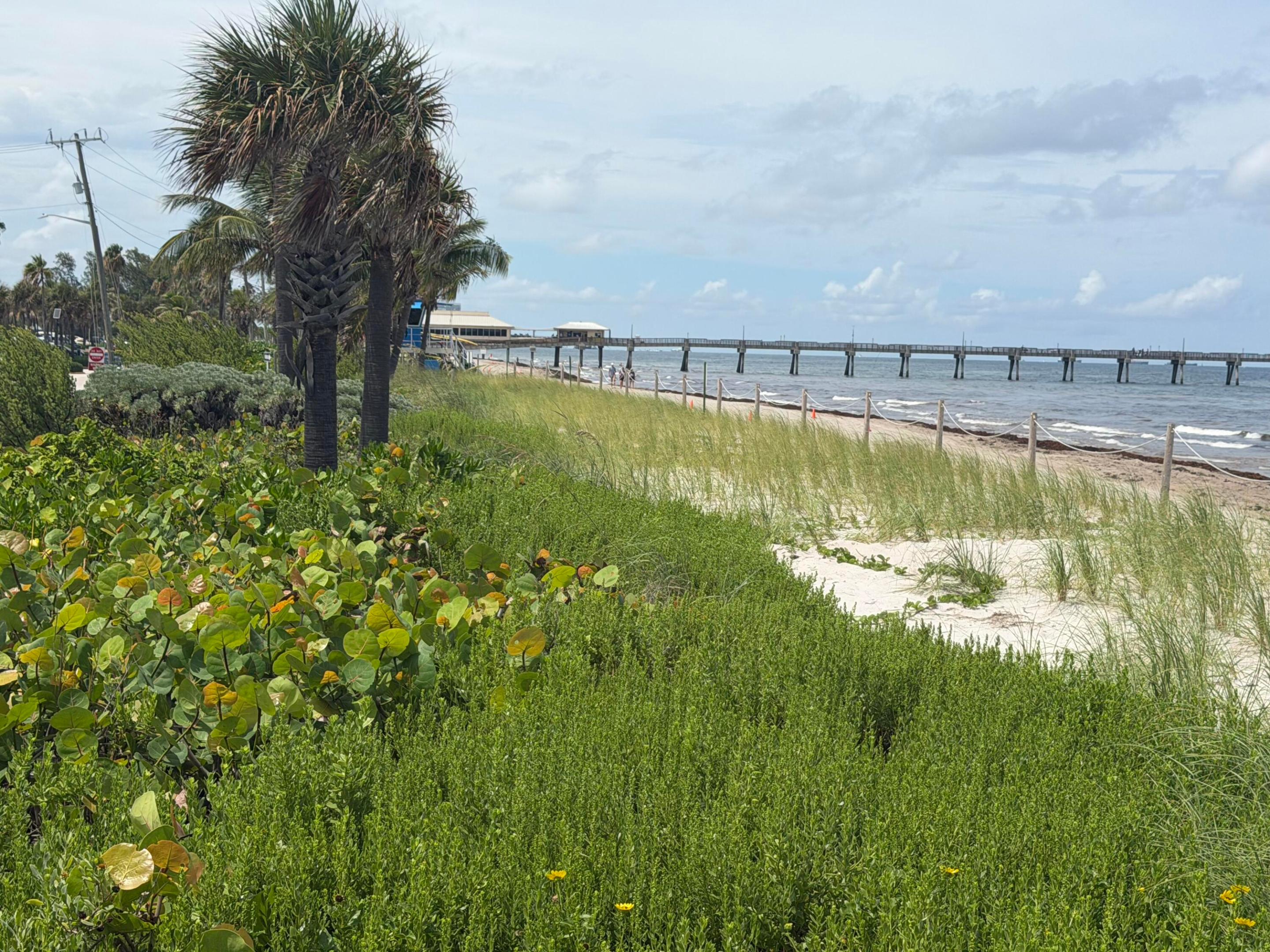 HOMES AT SHERIDAN OCEAN CLUB - Residential