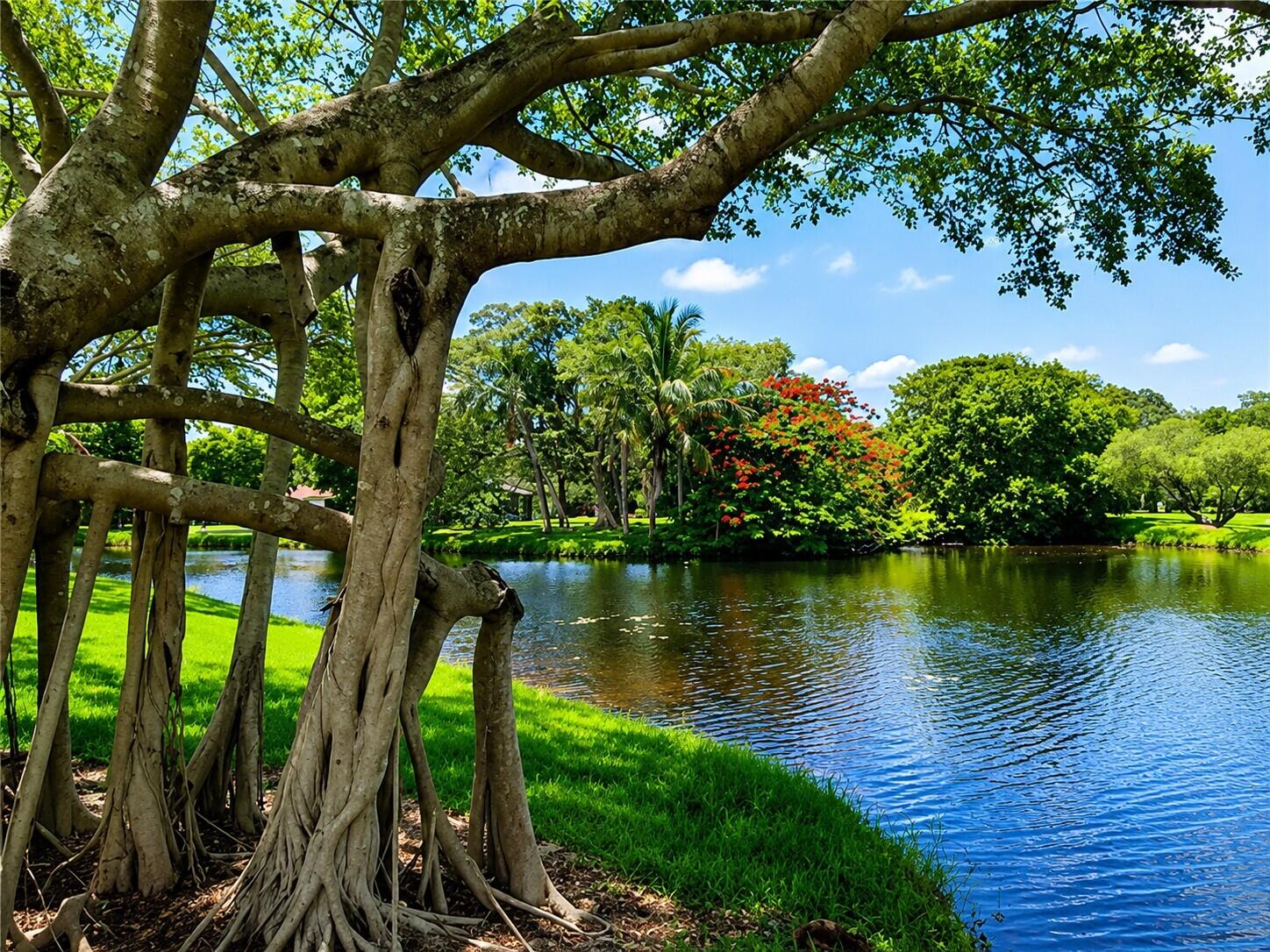 CLEARBROOK VILLAGE CONDO AT BANYAN SPRINGS - Residential