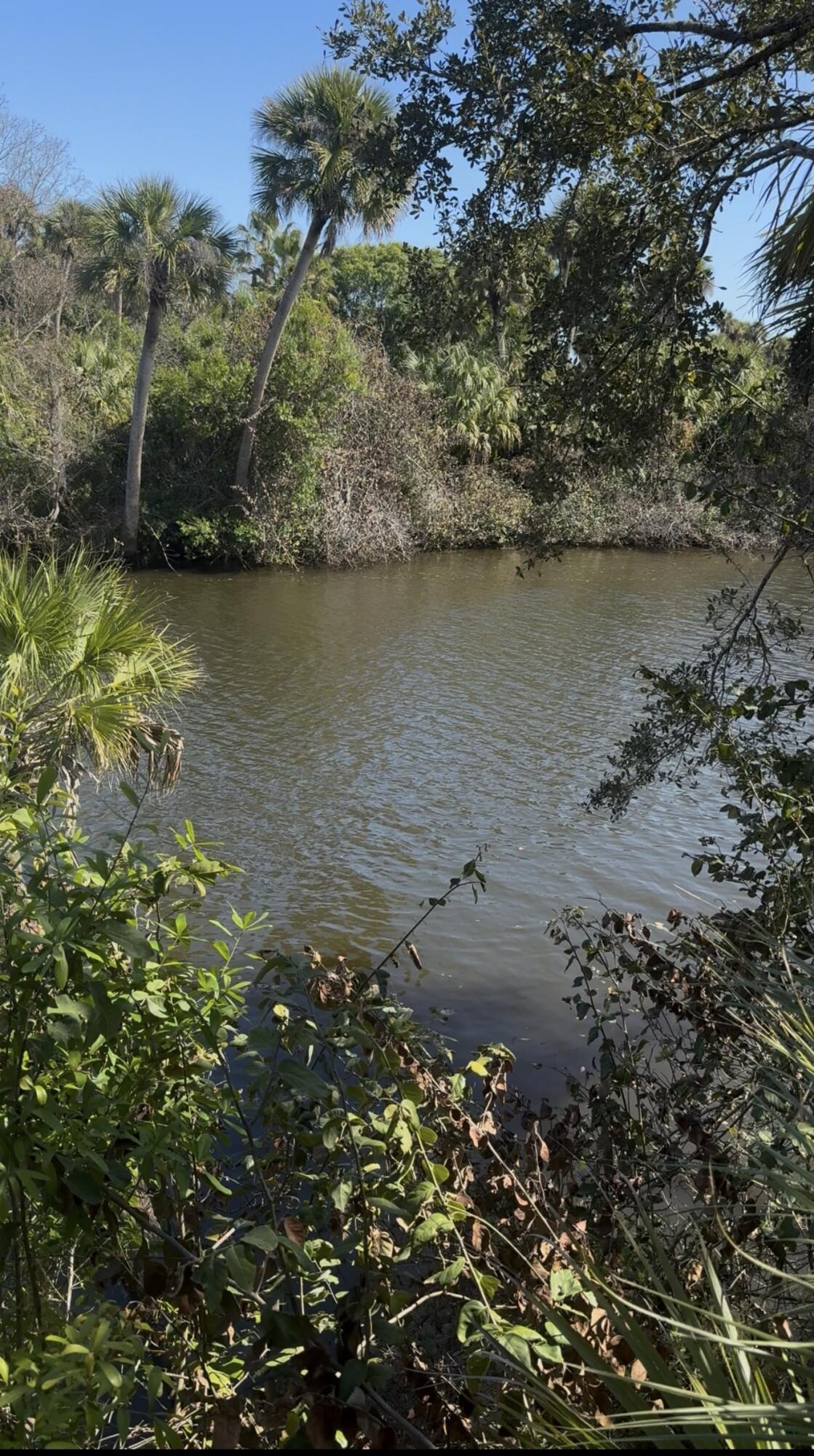 LOCATION, LOCATION, LOCATION...Do not let this opportunity pass you by.  Build your dream home on this rare 1.07 acre lot in the private gated community of Charleston Oaks; you do not want to miss out on building on this last available lot, your home will be the final home to be built in this tropical paradise, with Ocean Access via the St. Lucie River.  This community boasts a private dock and you Own Your Dock Space!  It also has an outdoor recreation area where residents may enjoy trails, board walks around the perimeter of the community; kayaking and fishing.