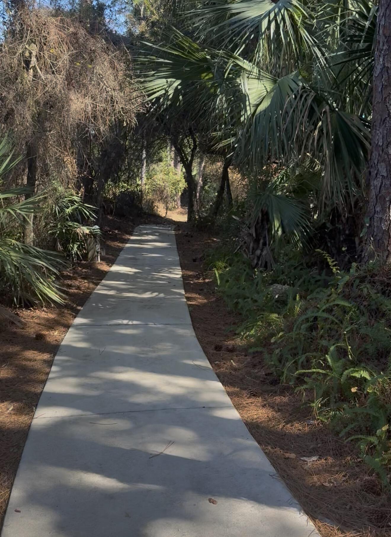 CHARLESTON OAKS PHASE 2 - Land