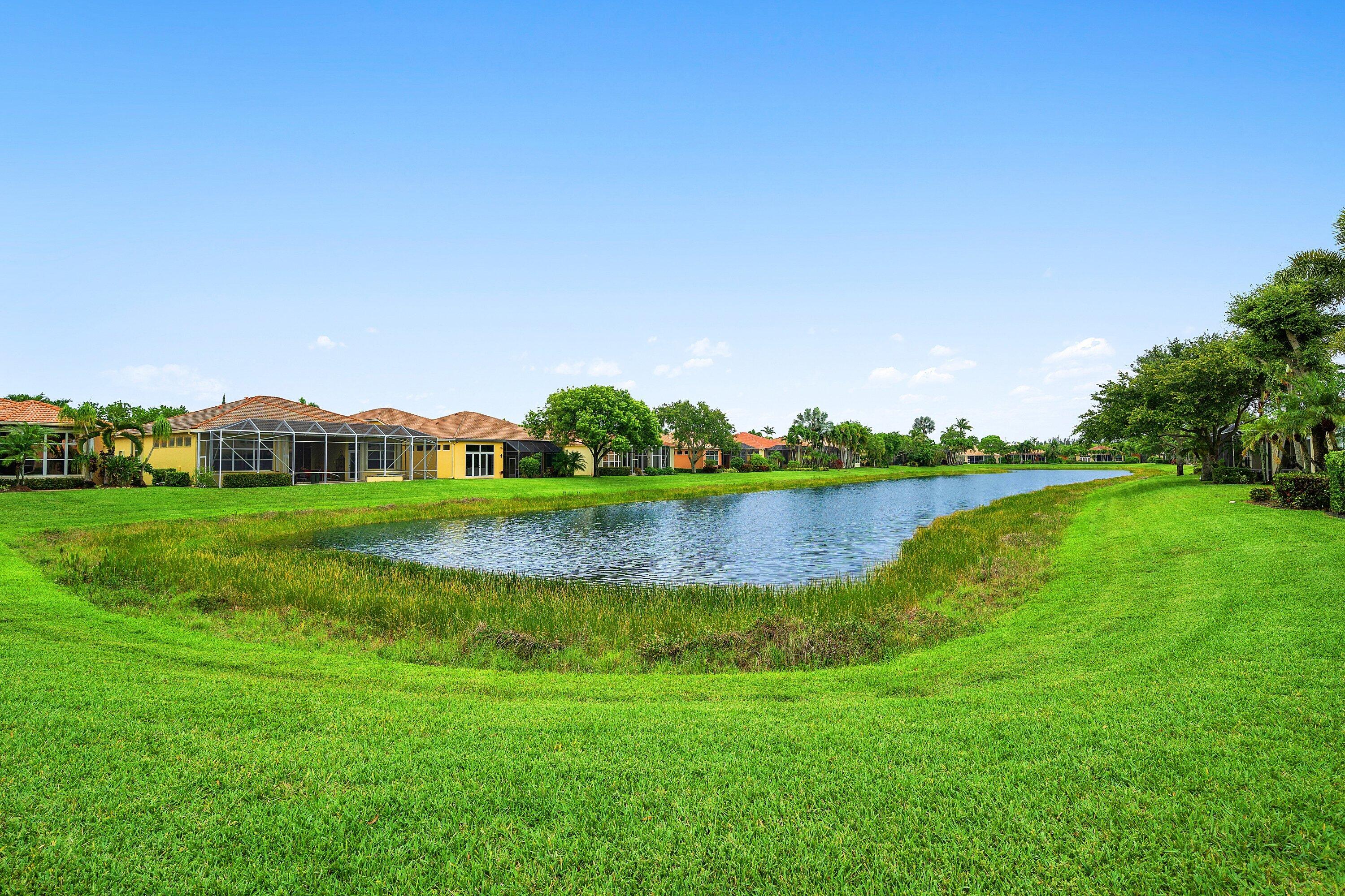 BUENA VIDA - Residential
