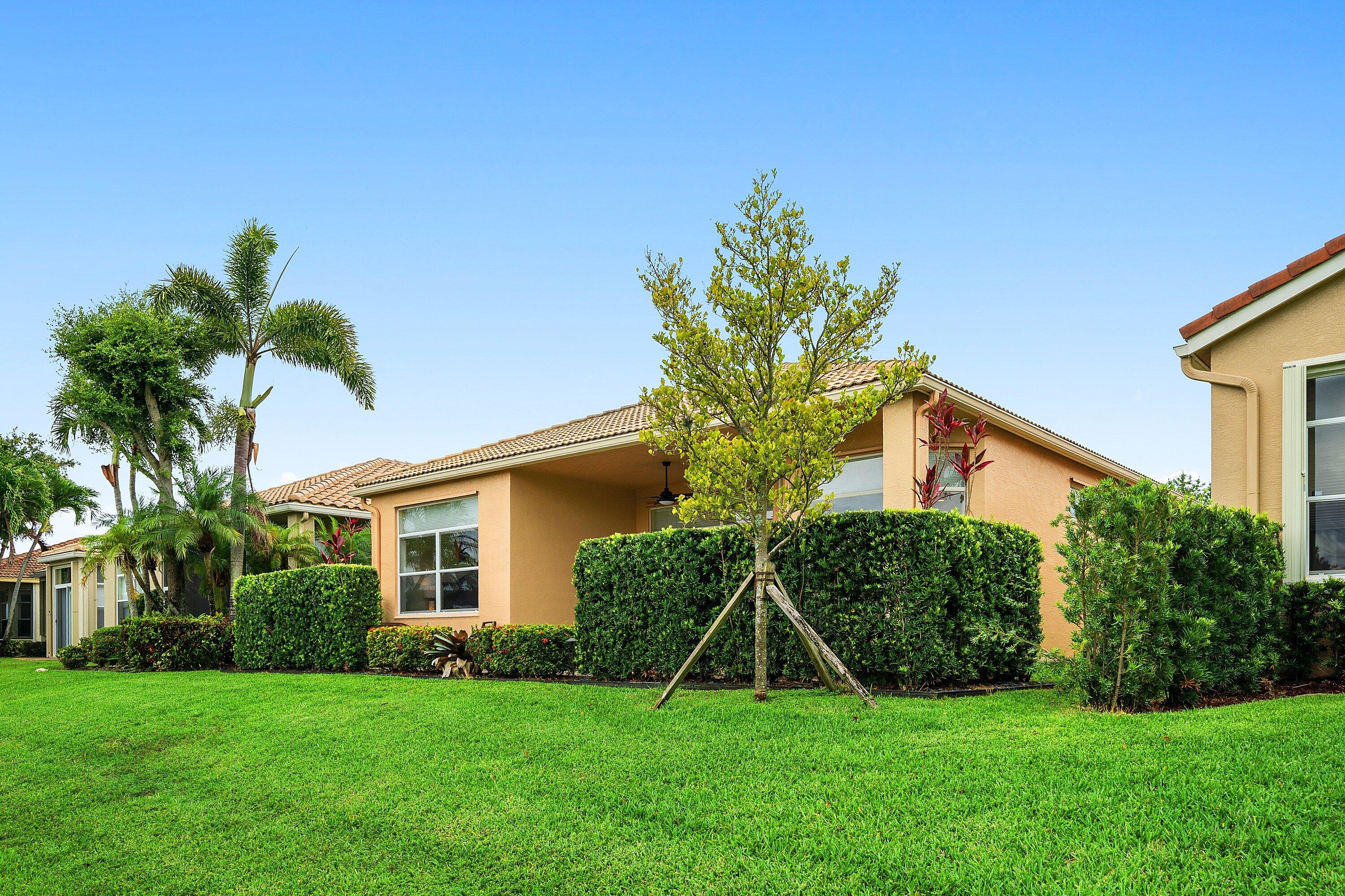 BUENA VIDA - Residential