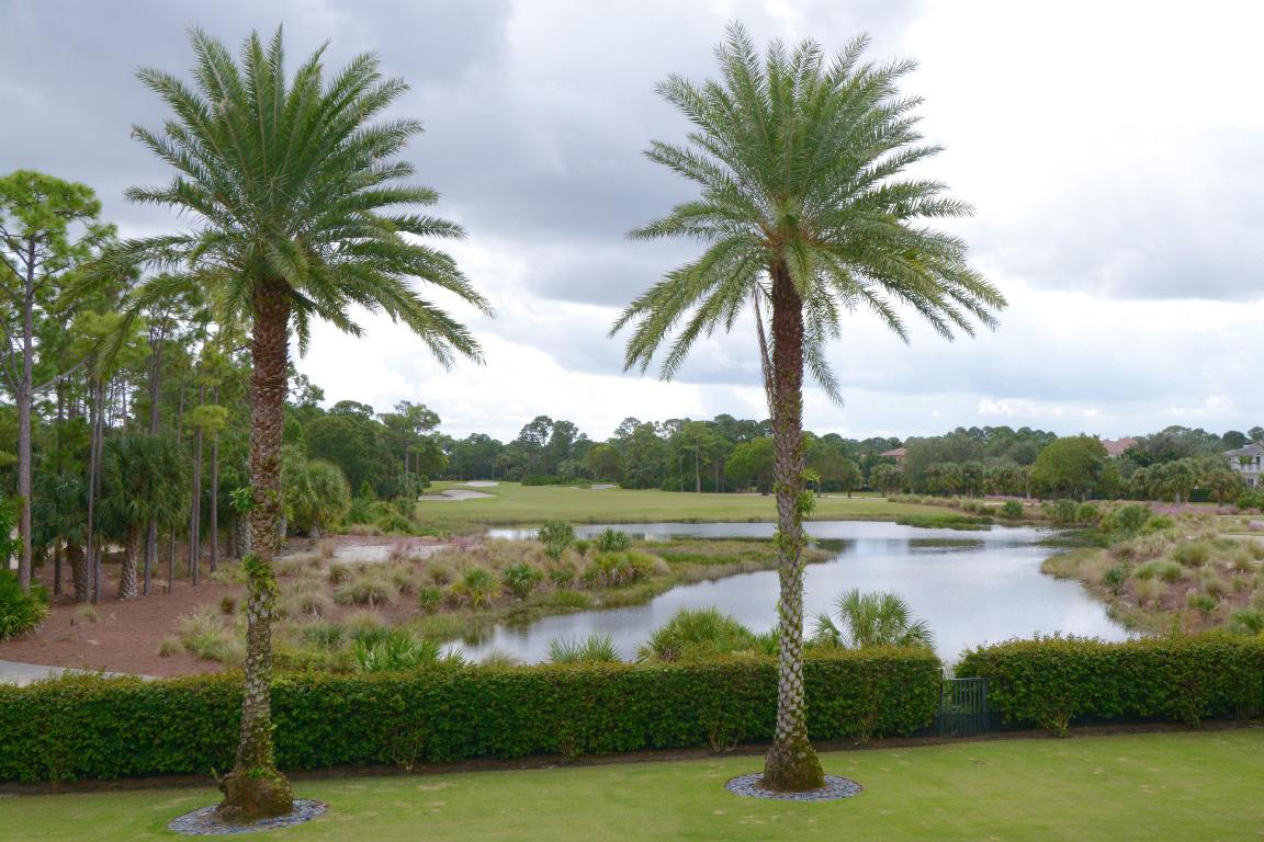 OLD PALM 3 - Residential