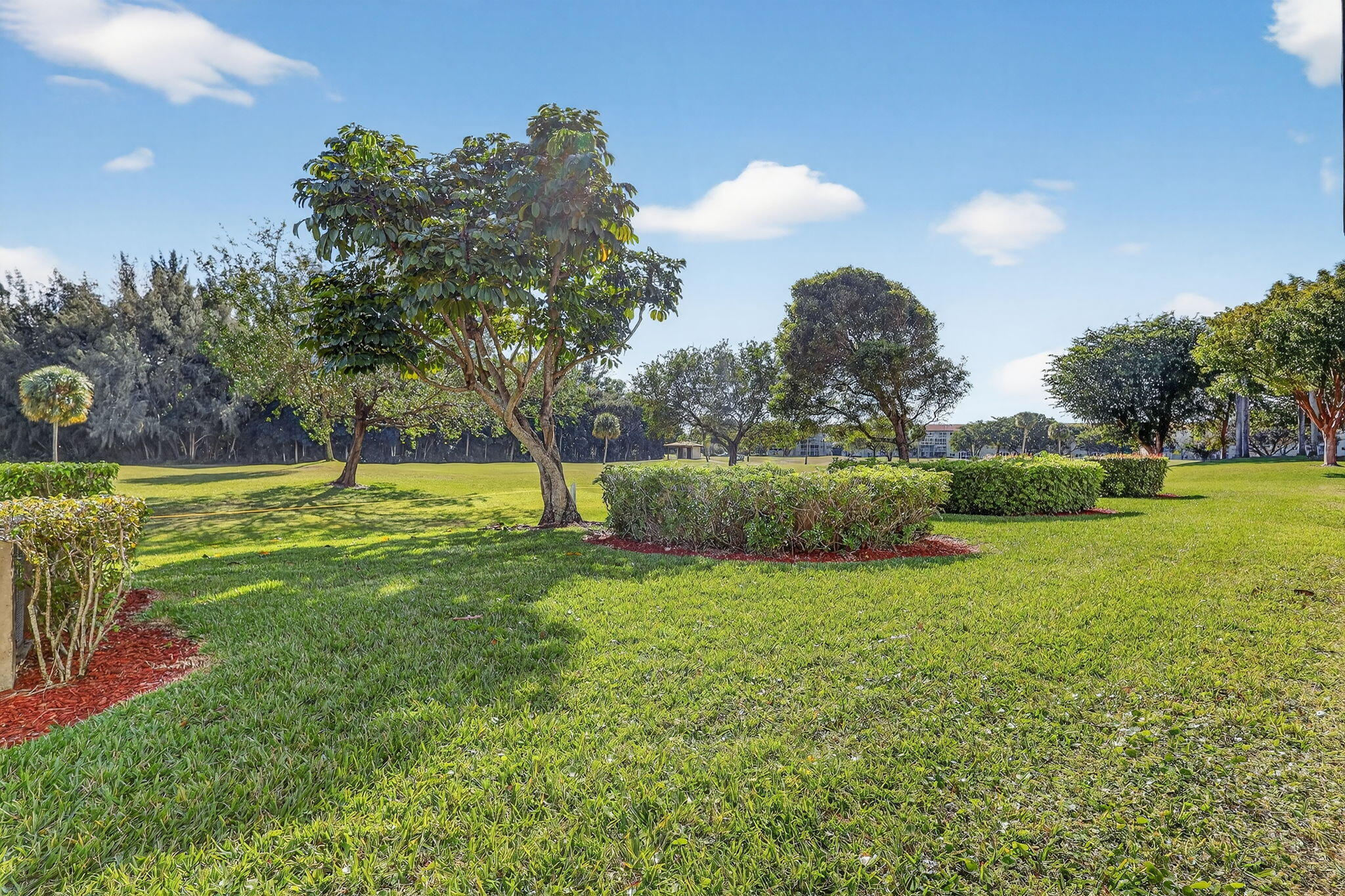 BUCKINGHAM EAST AT CENTURY - Residential