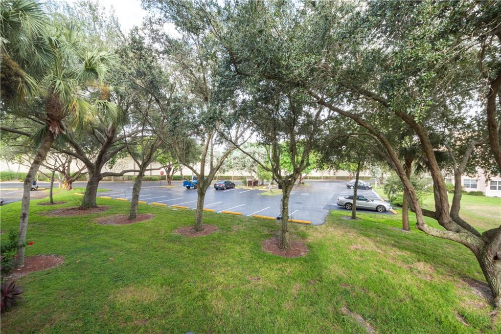 Evergreen - Pine Island - Residential