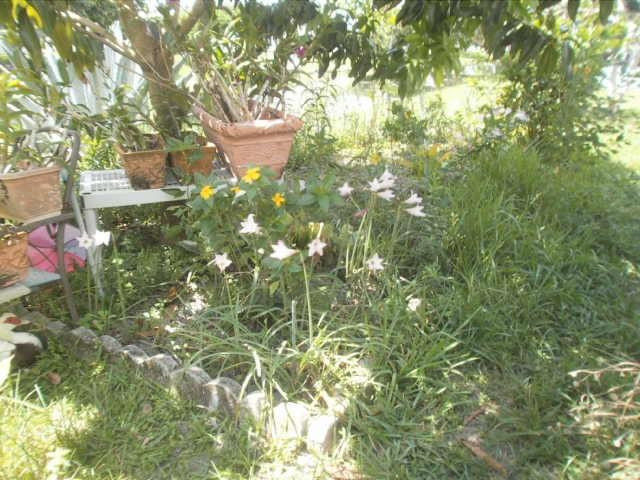 Paradise Gardens Sec 4 76 - Residential