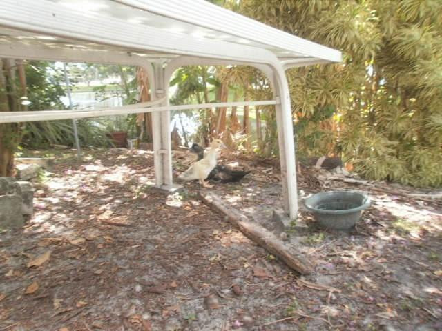 Paradise Gardens Sec 4 76 - Residential