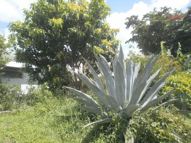 Paradise Gardens Sec 4 76 - Residential