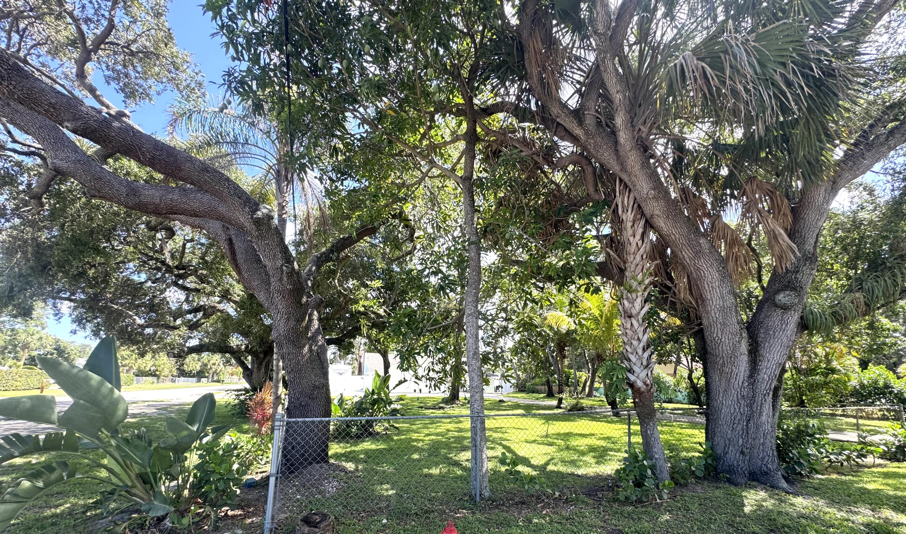 MORRISON - Residential Lease