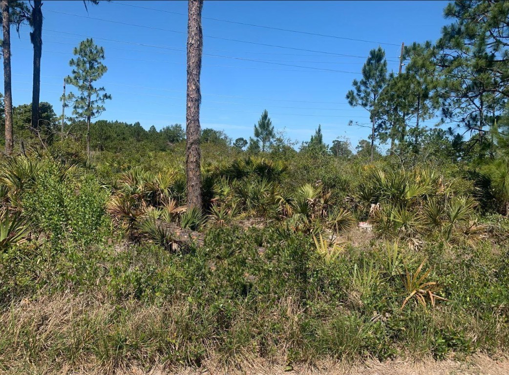 Not in a flood plain or in an association. This homesite in Sebring is available to purchase with only $1,500 down.  no pre-payment penalty.