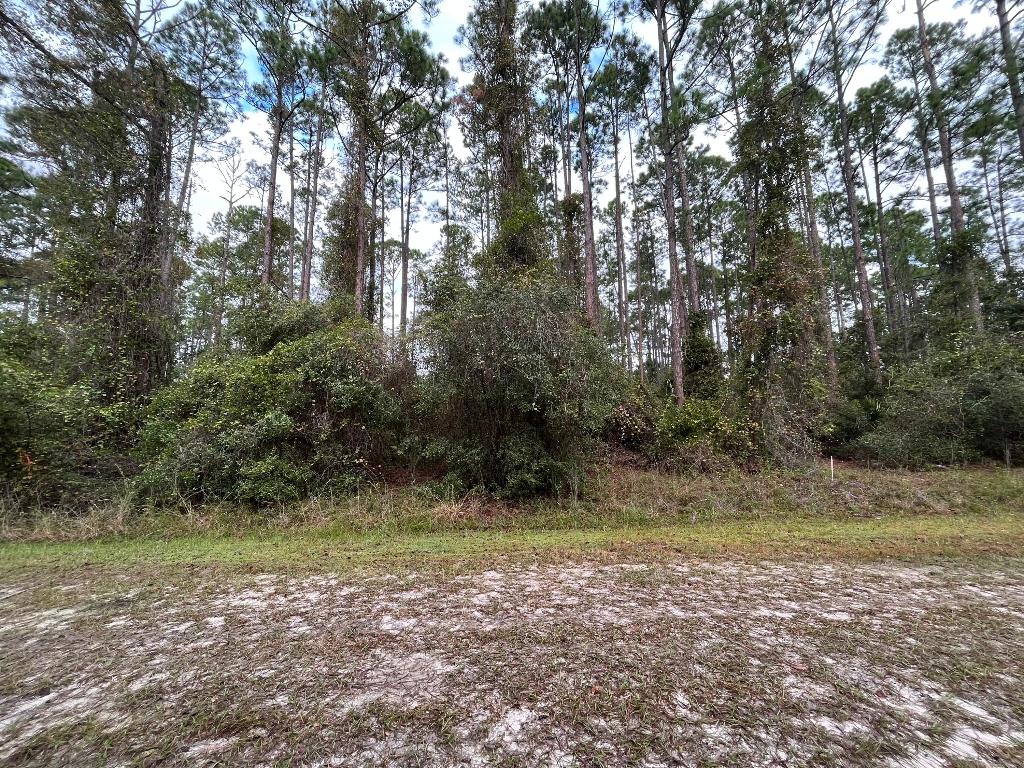 Owner Finance available! Do not miss out on this fantastic opportunity in Georgetown! This beautiful 0.23-acre lot offers the best of country living and is ready for your dream home. The property has already been mulched, making it easy to start building. Imagine enjoying the peaceful surroundings and the convenience of nearby attractions. You'll love being close to the St. Johns River Rod & Reel Club, a boat ramp, and a fishing pier on Lake George. Spend your days boating and fishing on the river and lake, or take a refreshing swim in the beautiful Salt Springs Silver Glen Spring. owner financing available for this property. Buyer to verify all property details including zoning, utilities, land use, and building requirements. All information deemed reliable but not guaranteed.