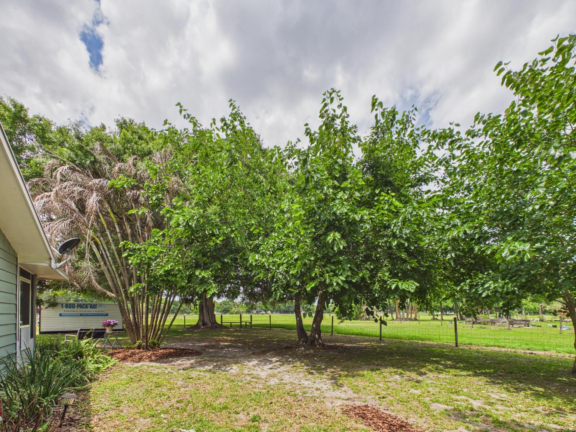 LAZY SEVEN RANCH ACRES - Residential