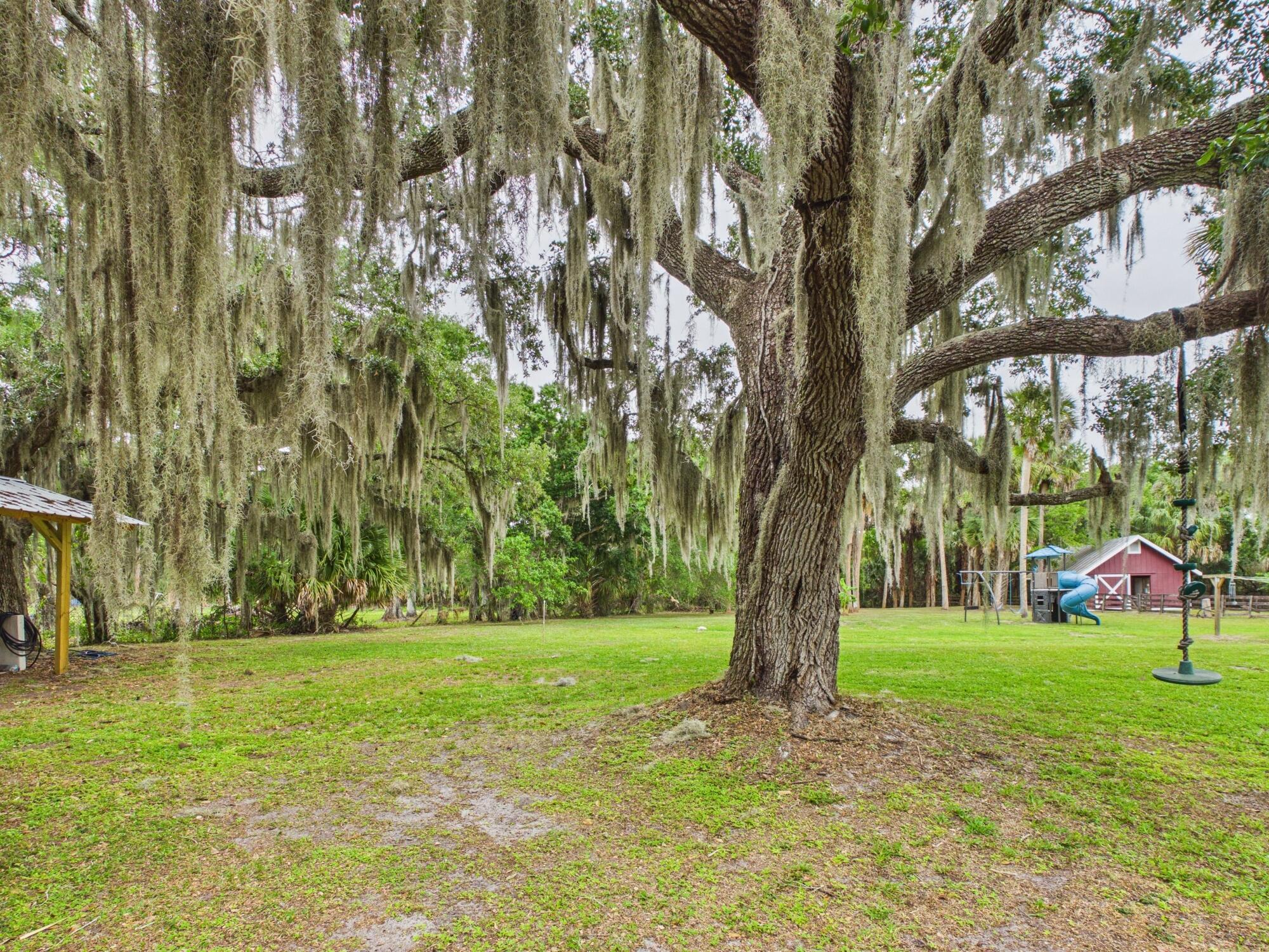 LAZY SEVEN RANCH ACRES - Residential