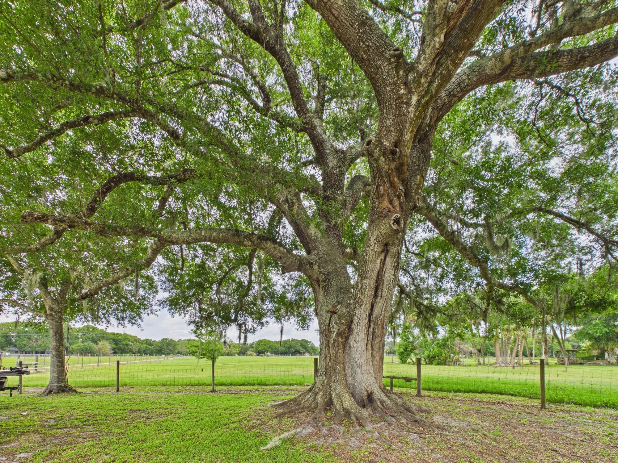 LAZY SEVEN RANCH ACRES - Residential