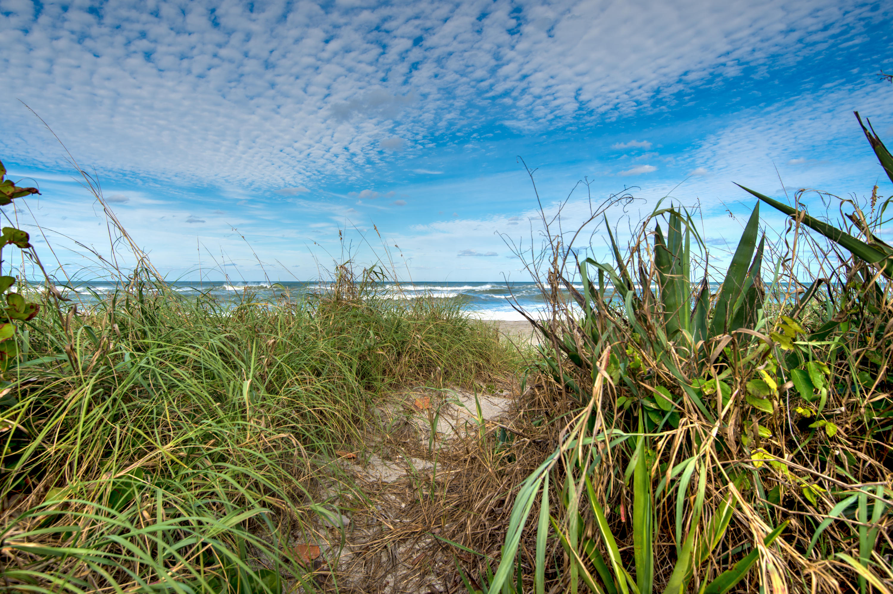 JUPITER INLET BEACH COLONY - Residential