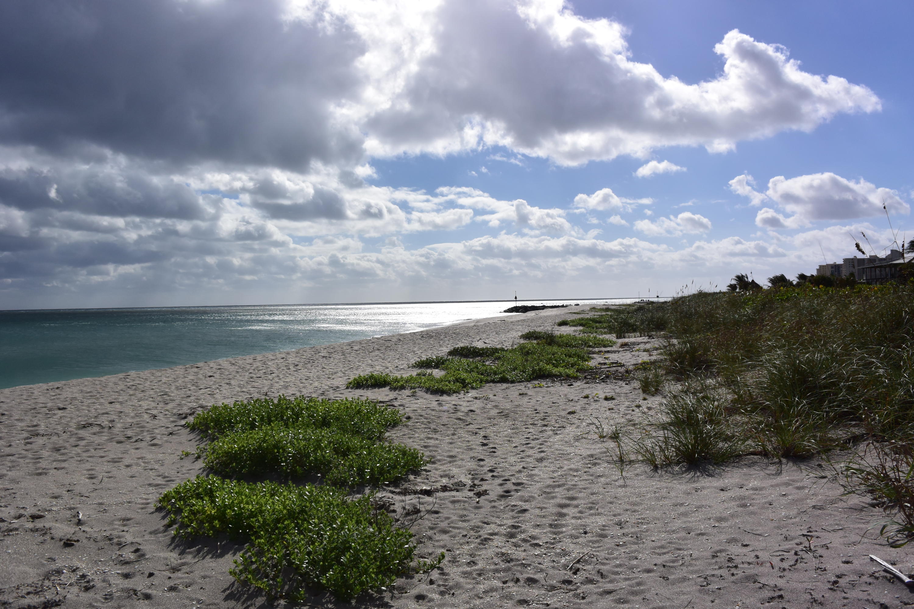 JUPITER INLET BEACH COLONY - Residential