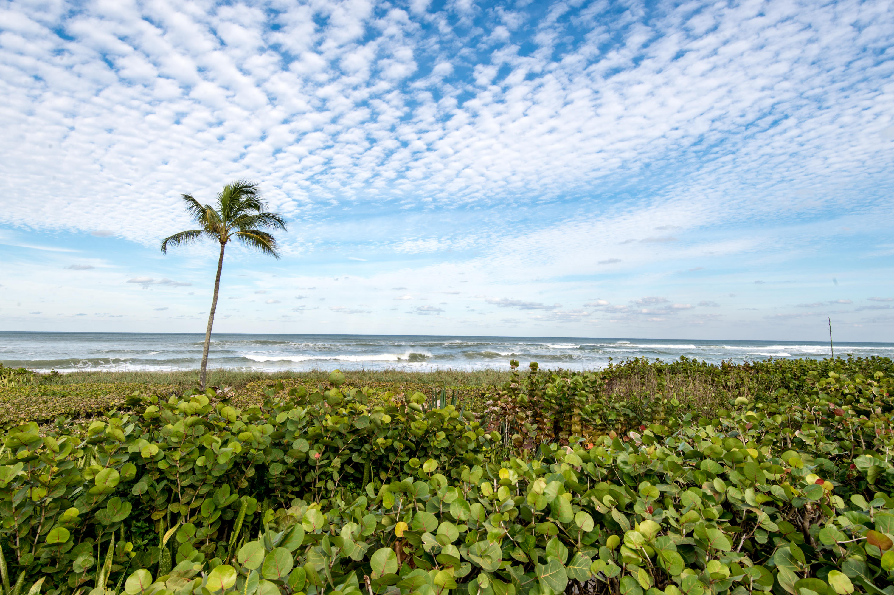 JUPITER INLET BEACH COLONY - Residential