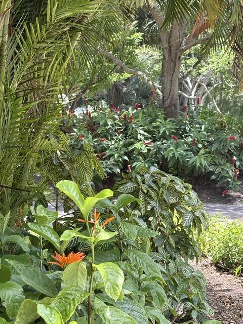 NO 123 PALM-AIRE COUNTRY CLUB - Residential