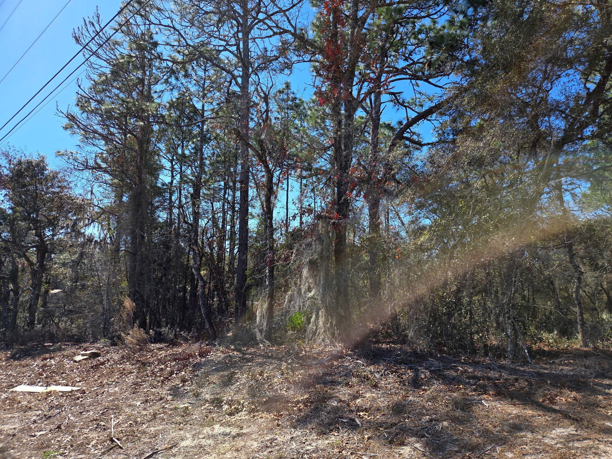 Welcome to your opportunity to build in the highly sought-after Marion Oaks community! This prime 0.26-acre wooded vacant lot offers a peaceful, private setting with mature trees and natural Florida charm, perfect for your dream single-family home. Located on a paved road in a growing area with no HOA restrictions, you'll have the flexibility to design exactly what you want ''whether a spacious 3-4 bedroom ranch, a modern custom build, or even add a pool and outdoor living space. Conveniently situated just minutes from SR-200, Walmart Supercenter, restaurants, medical facilities, schools (Marion Oaks Elementary nearby), the Marion Oaks Community Center (with recreation, library, and events at 280-294 Marion Oaks Lane), and quick access to I-75 for commutes to Gainesville, Orlando, or Tampa. Power and public water are available at the street (septic system required for sewer - buyer to verify hookup fees and permits). The lot is not in a high-risk flood zone based on area data, and the neighborhood features a mix of established homes and new construction.
Ideal for first-time builders, investors, or anyone seeking affordable land in a vibrant Southwest Ocala location. Don't miss this chance to own a piece of Marion Oaks, call today for more details or to schedule a walk!