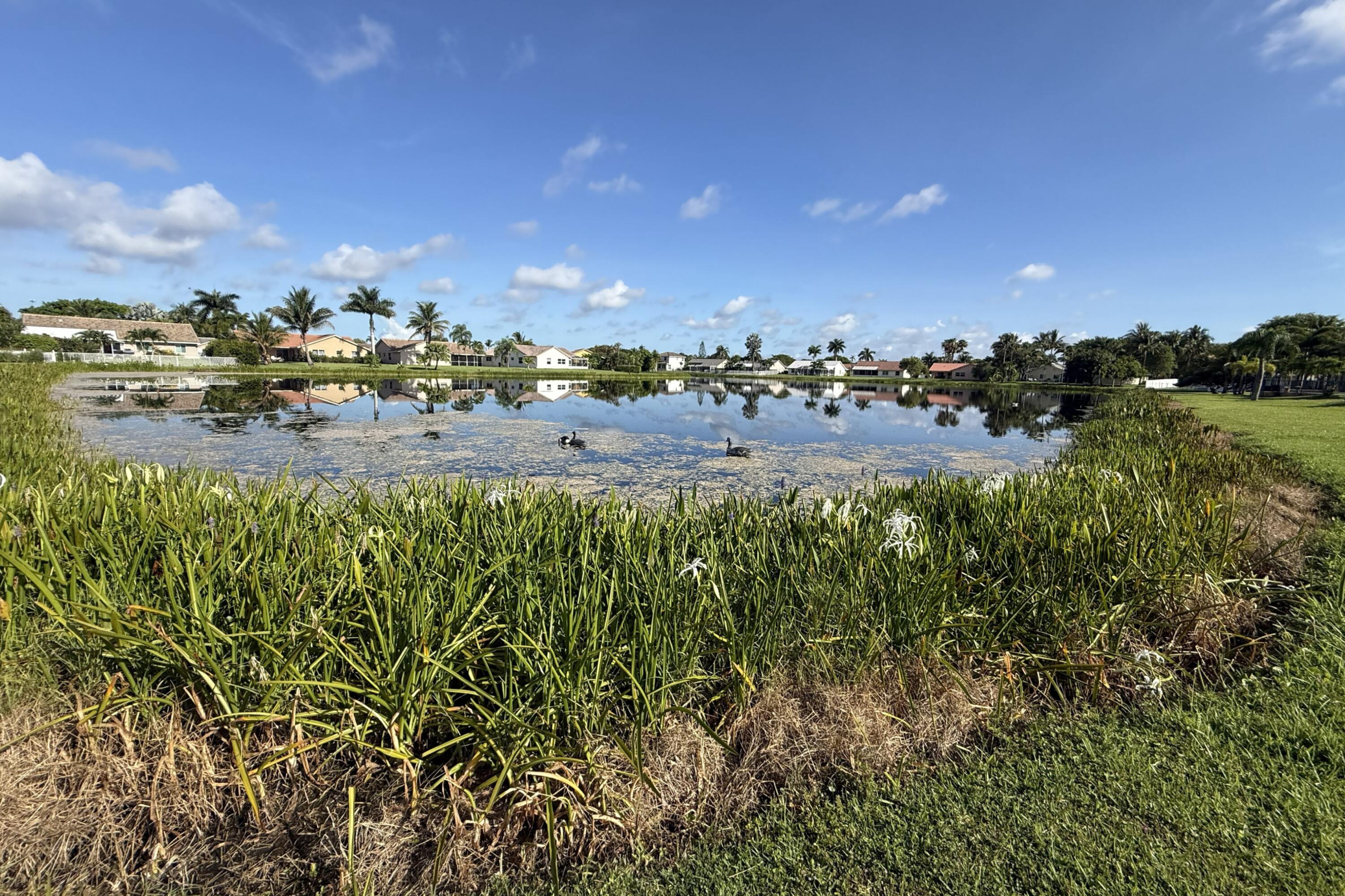 WHITEHORSE ESTATES - Residential