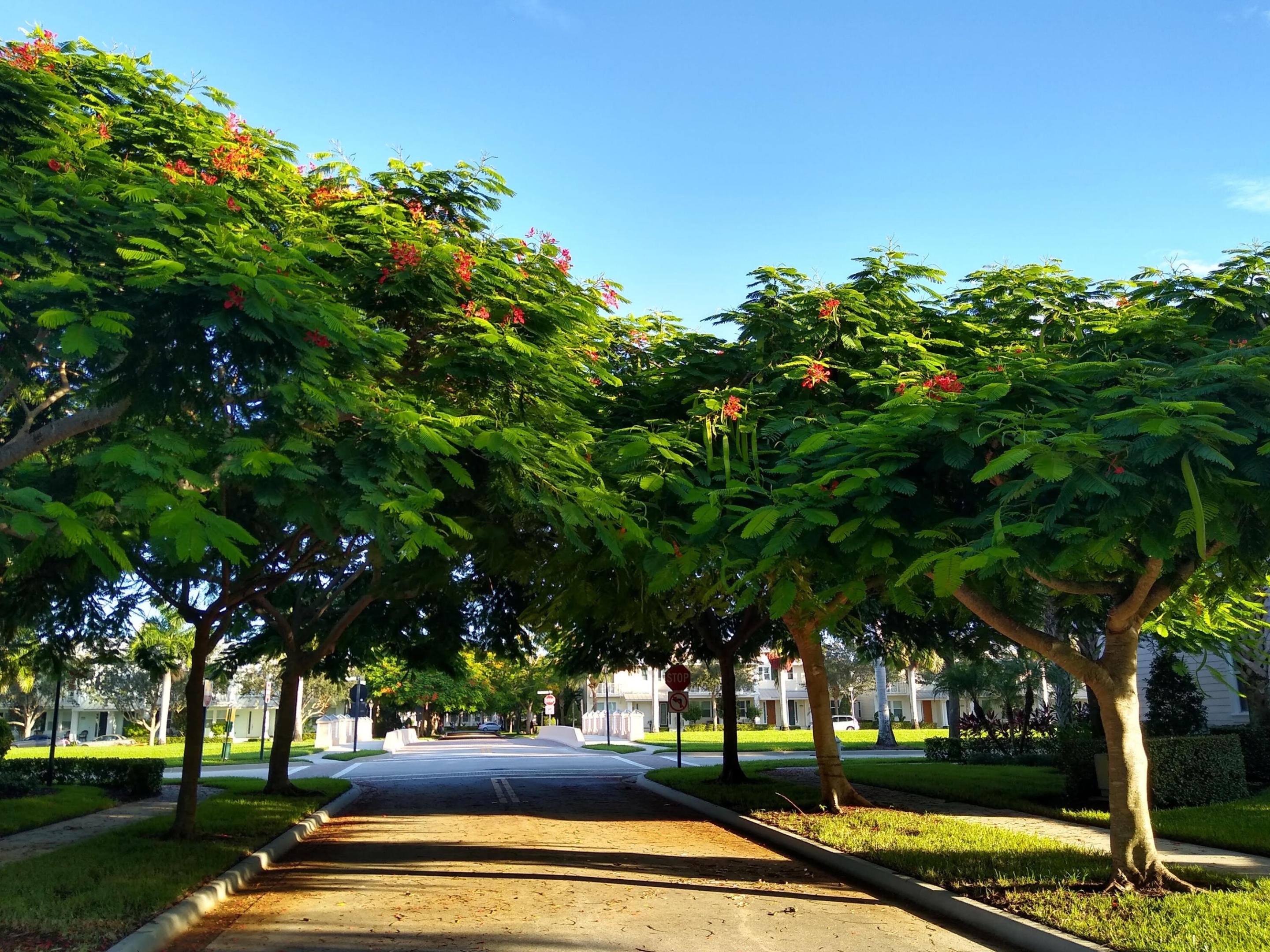 MALLORY CREEK AT ABACOA 2 - Residential Lease