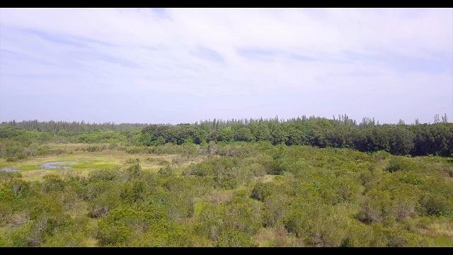 Section 10 - Land