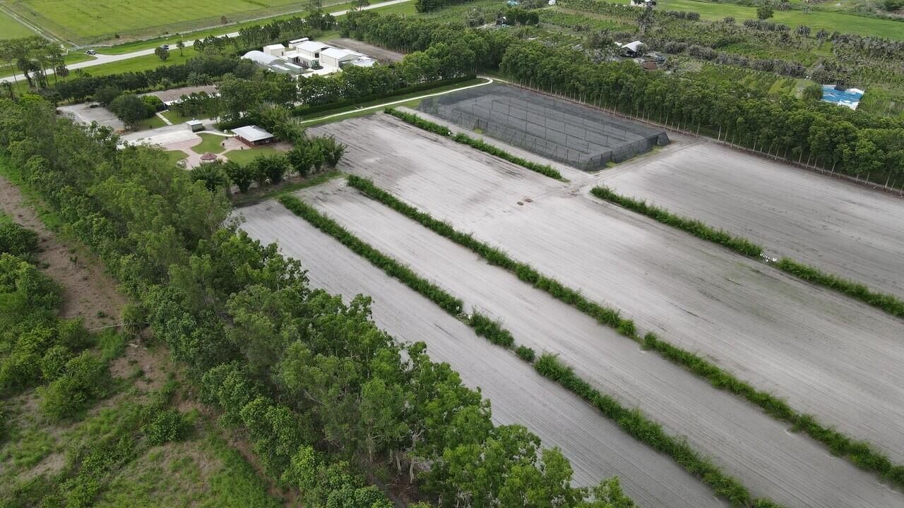 BOX RANCH GROVES - Residential