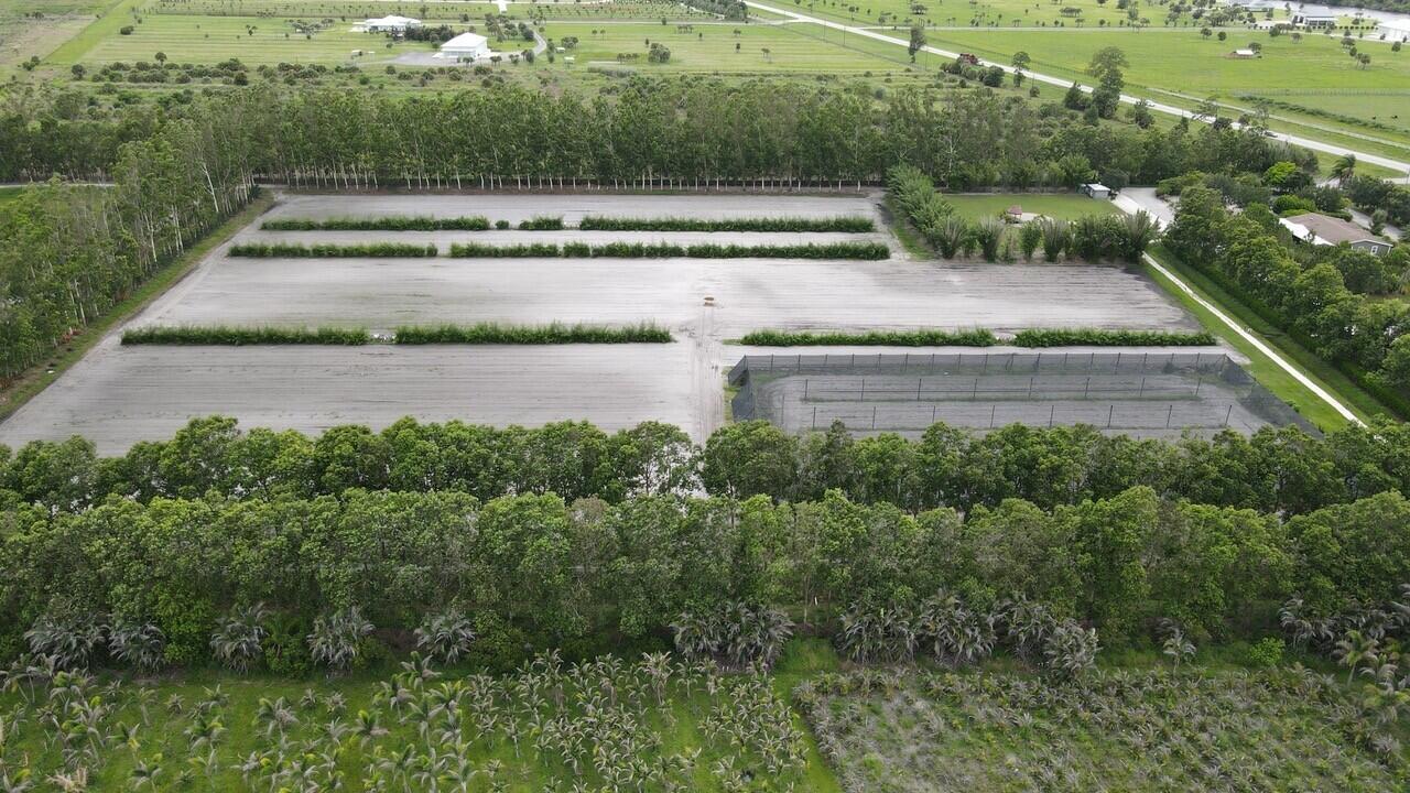 BOX RANCH GROVES - Residential