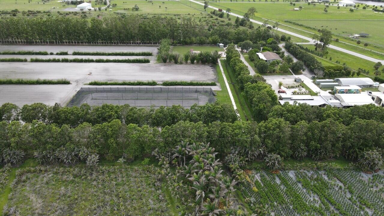 BOX RANCH GROVES - Residential