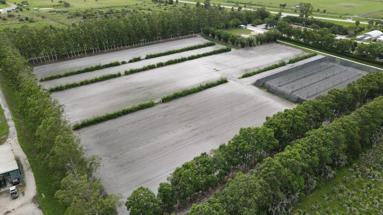 BOX RANCH GROVES - Residential
